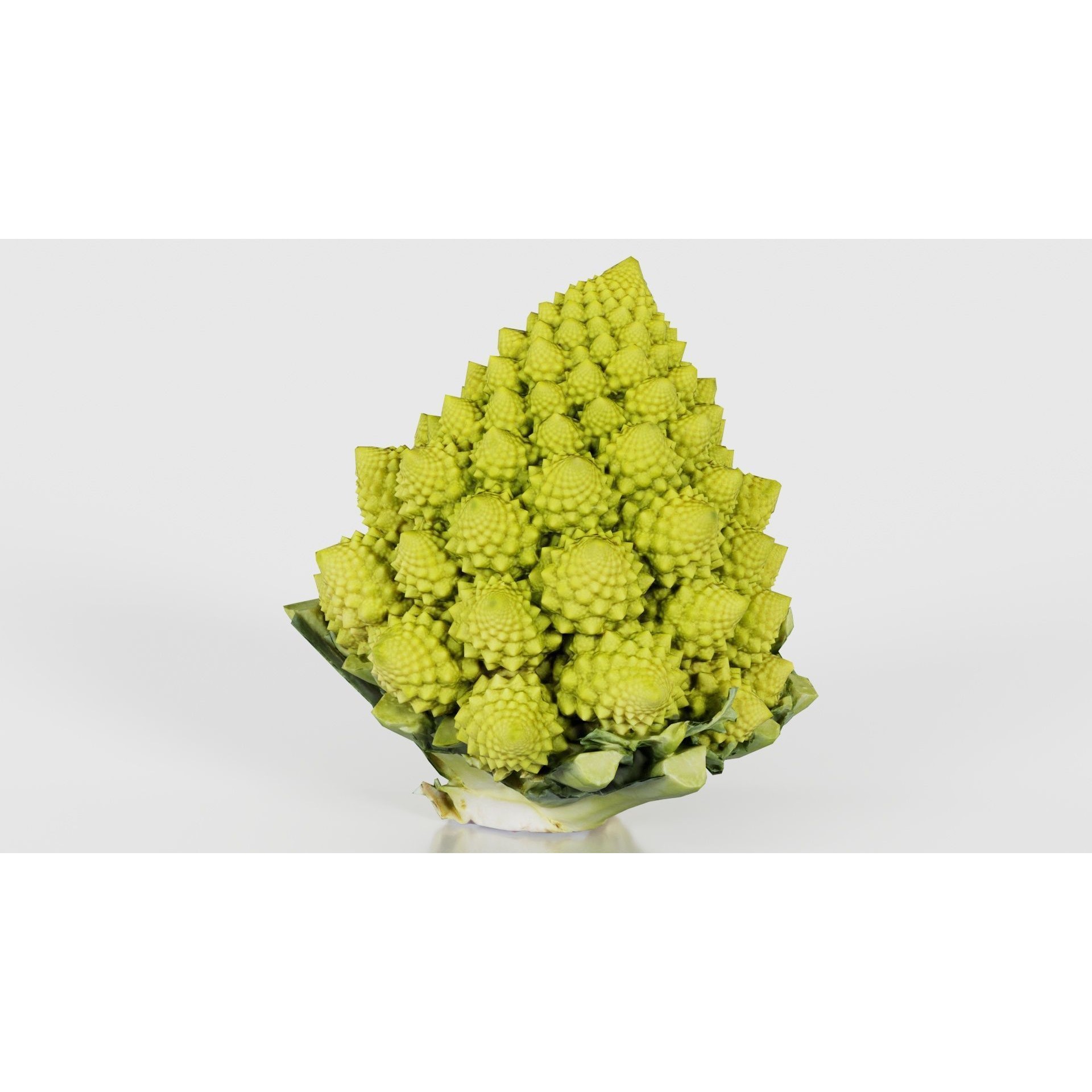 Romanesco - Low-Poly Game-Ready 3D Model - View 20