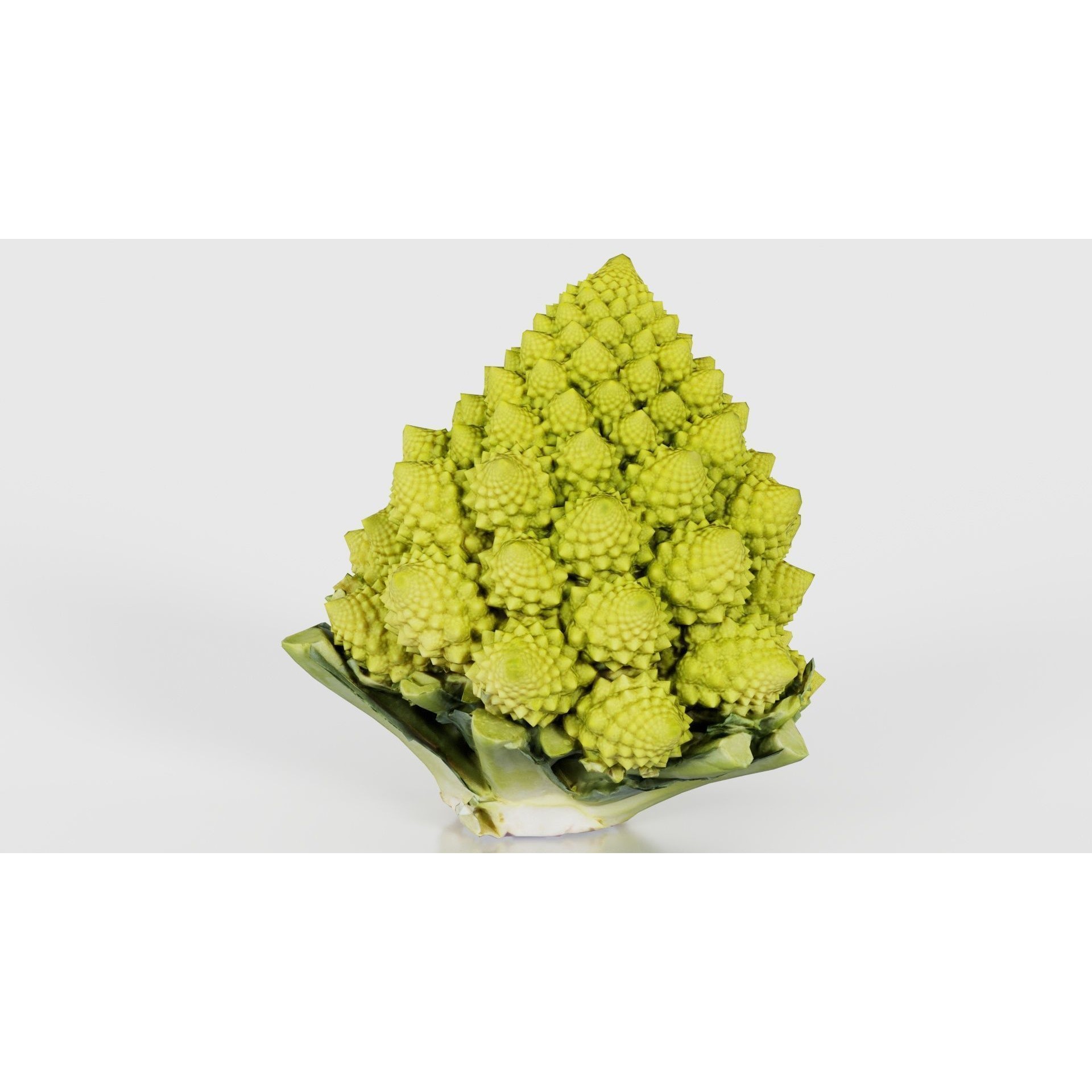 Romanesco - Low-Poly Game-Ready 3D Model - View 21