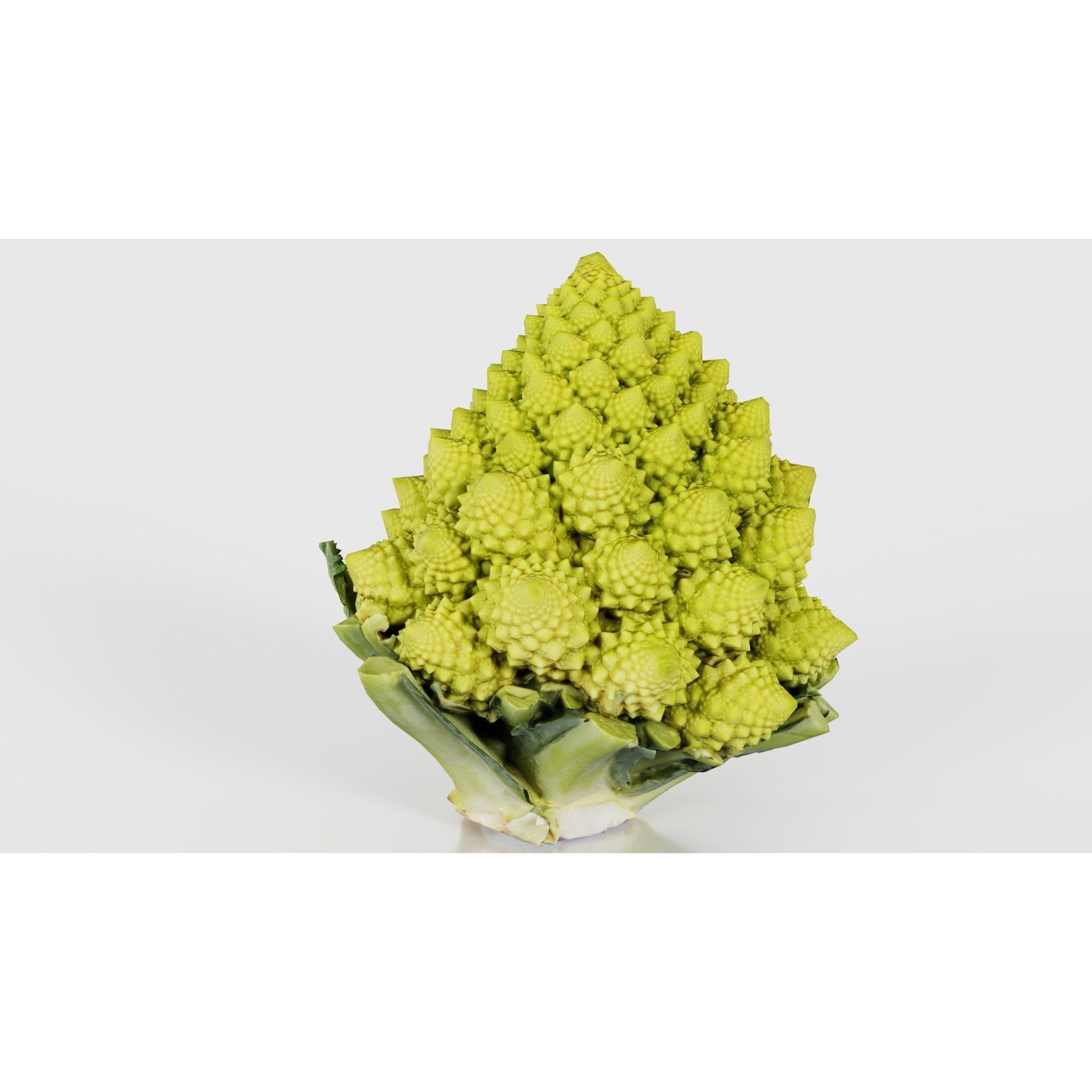 Romanesco - Low-Poly Game-Ready 3D Model - View 22