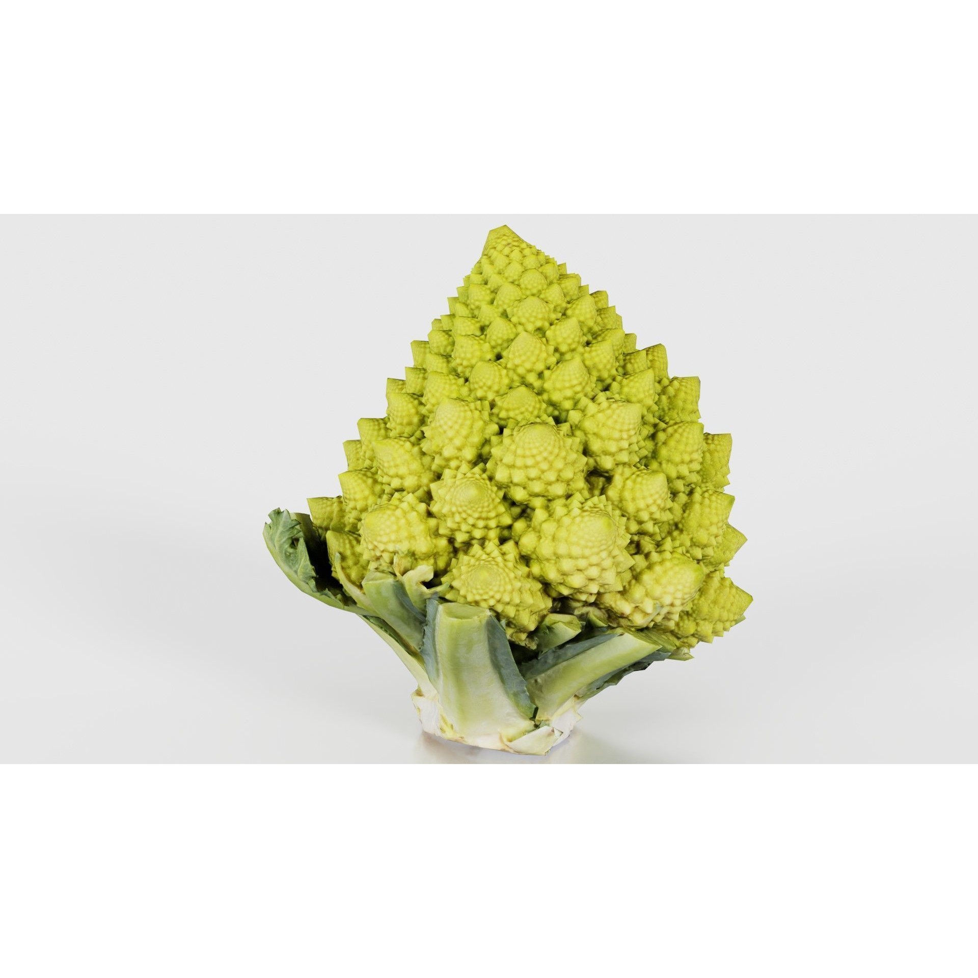 Romanesco - Low-Poly Game-Ready 3D Model - View 23