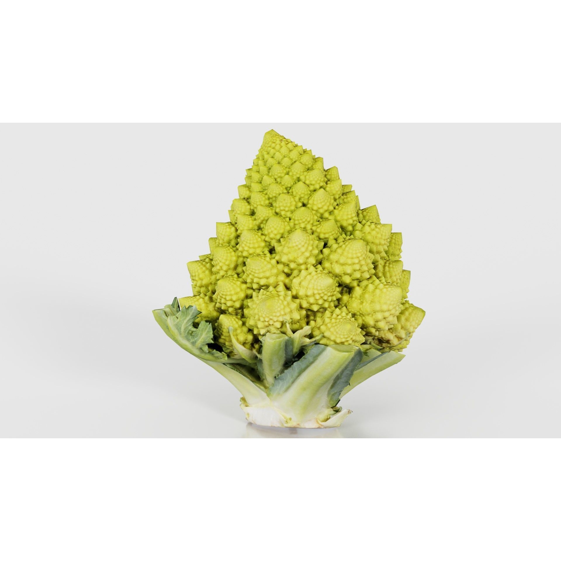 Romanesco - Low-Poly Game-Ready 3D Model - View 24
