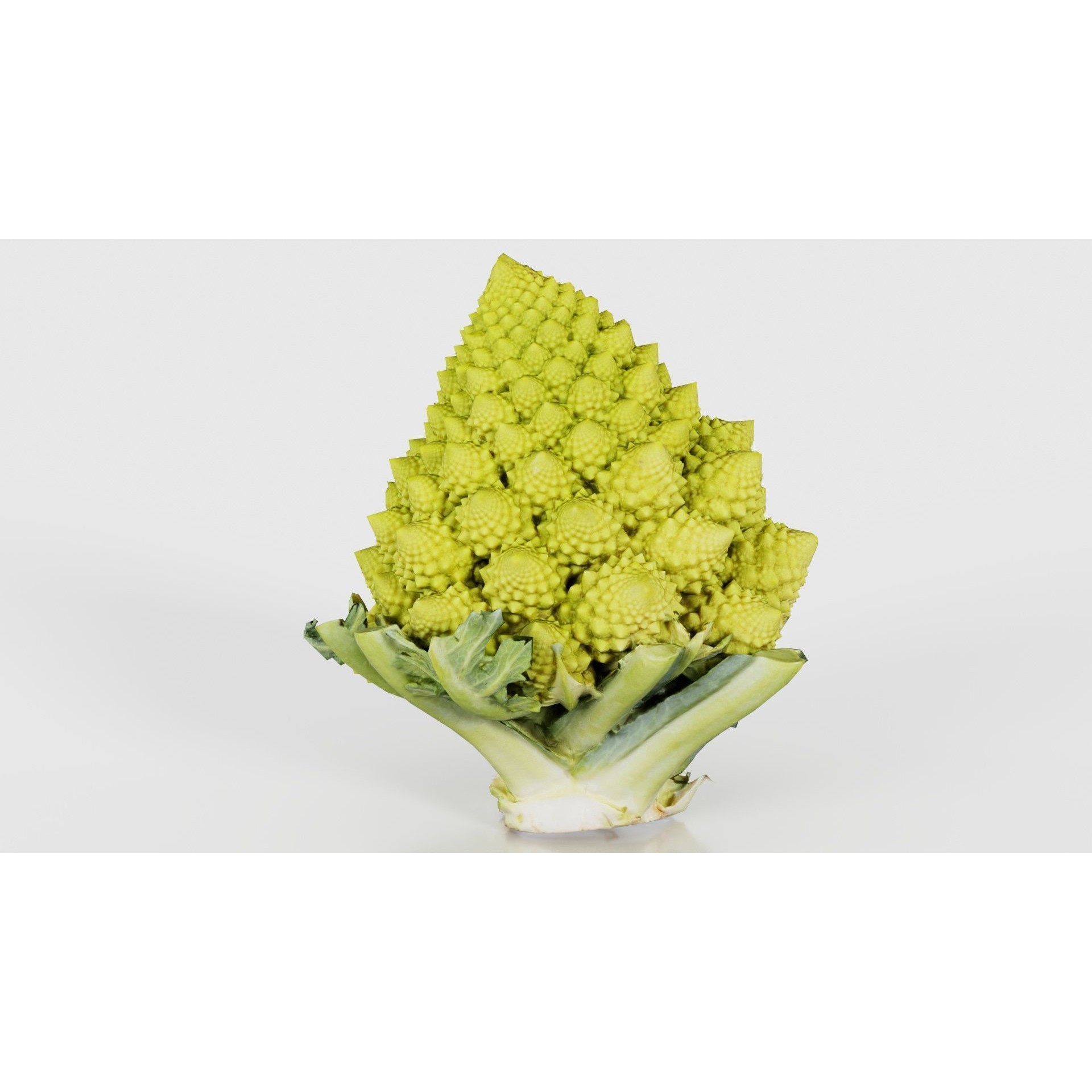 Romanesco - Low-Poly Game-Ready 3D Model - View 25