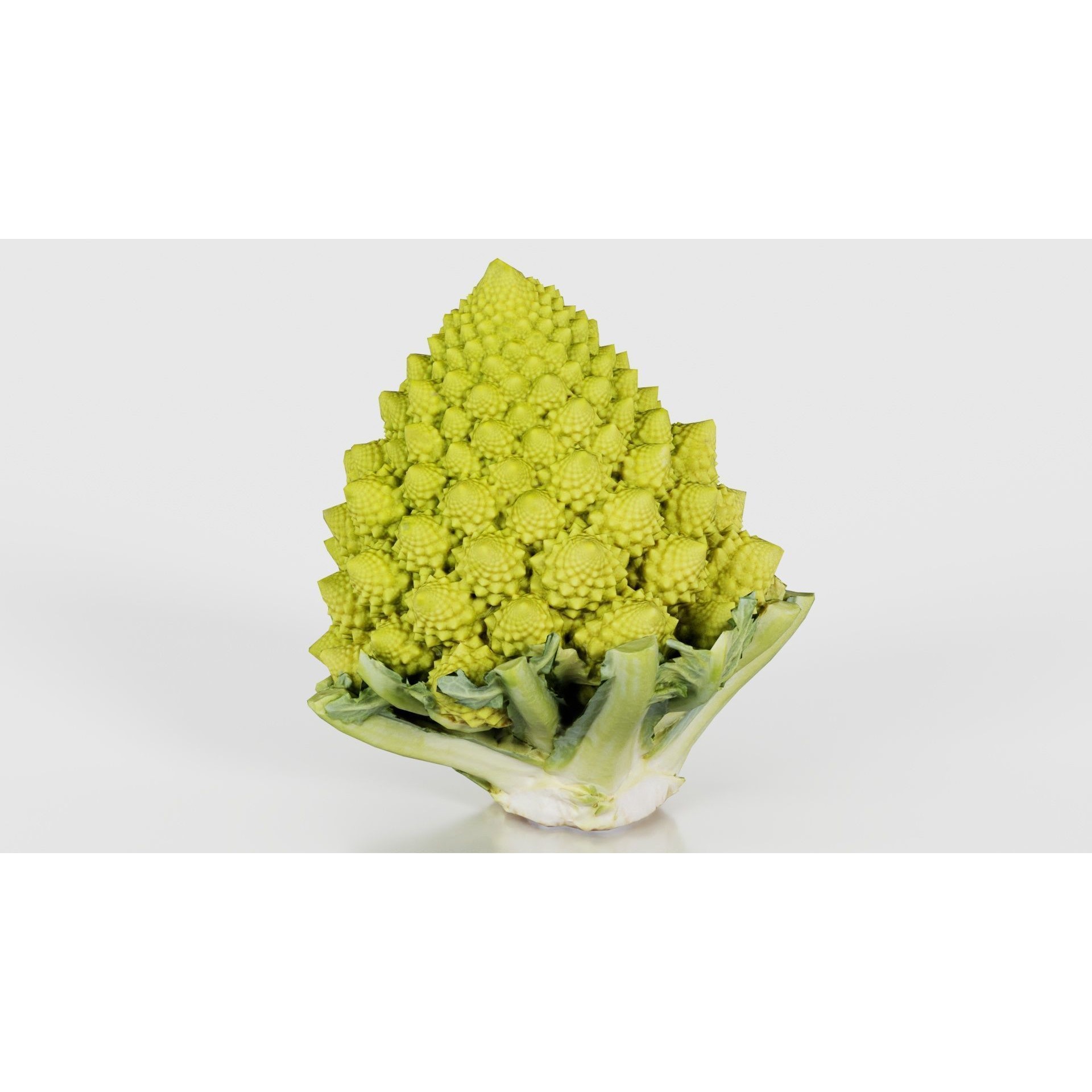 Romanesco - Low-Poly Game-Ready 3D Model - View 27