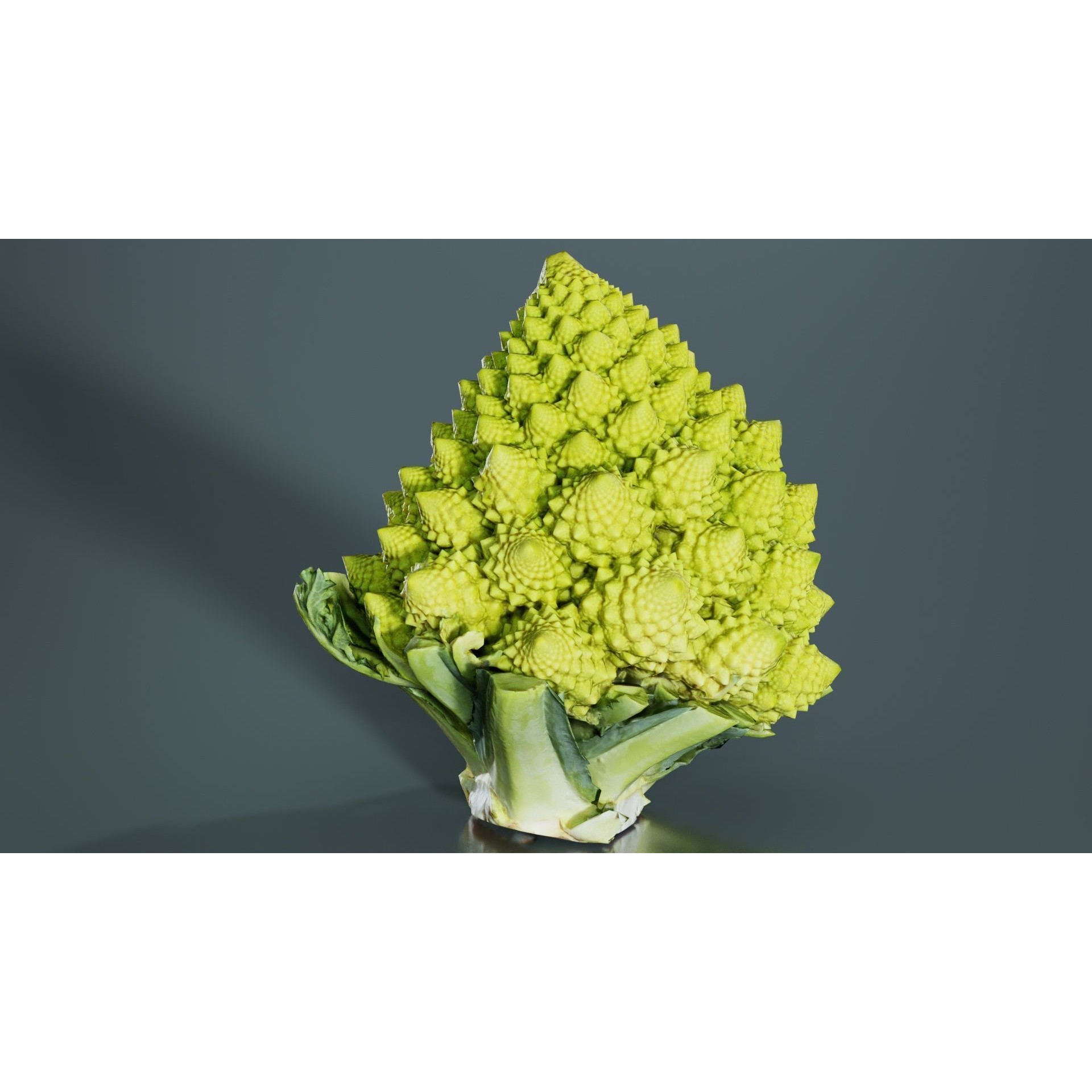Romanesco - Low-Poly Game-Ready 3D Model - View 3