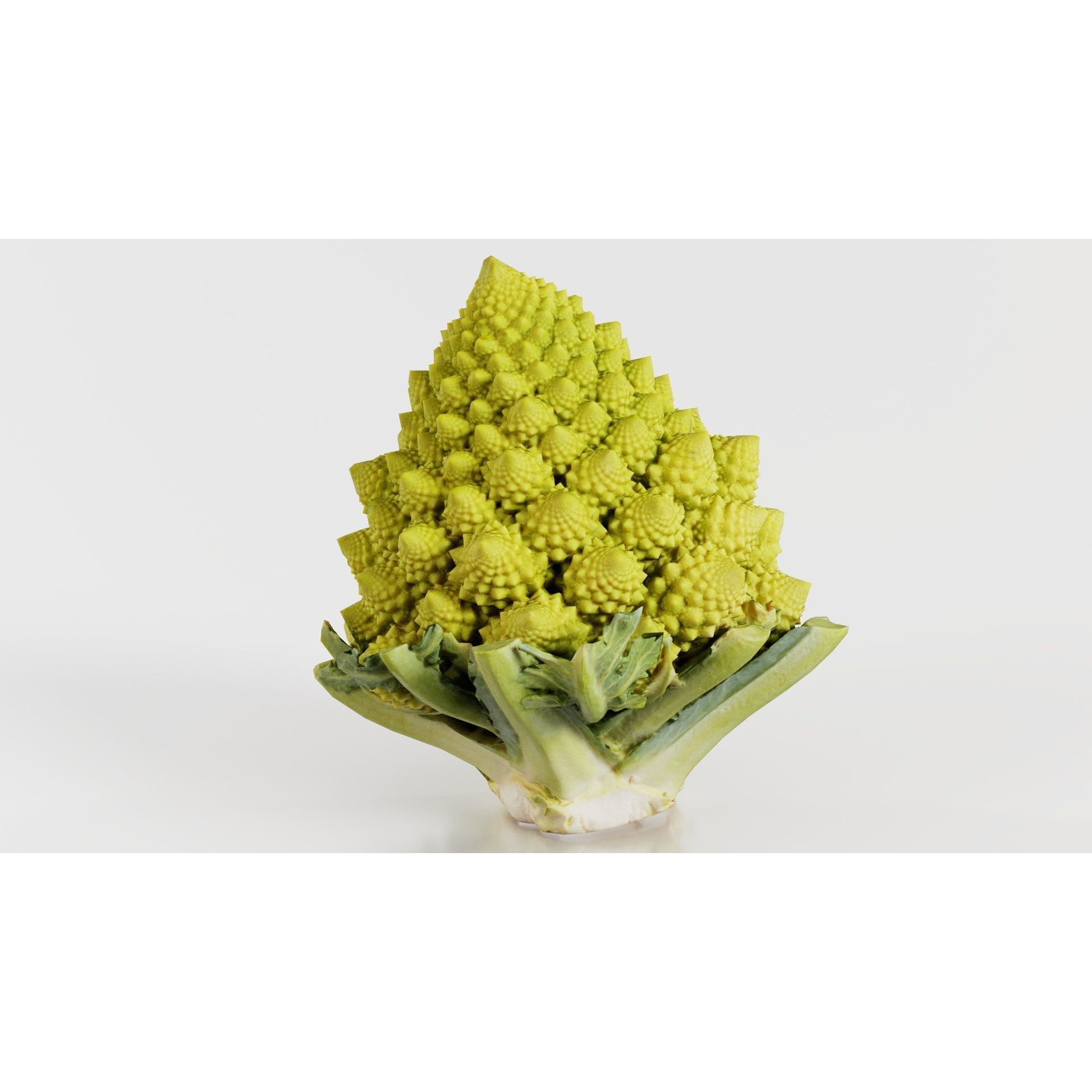 Romanesco - Low-Poly Game-Ready 3D Model - View 4