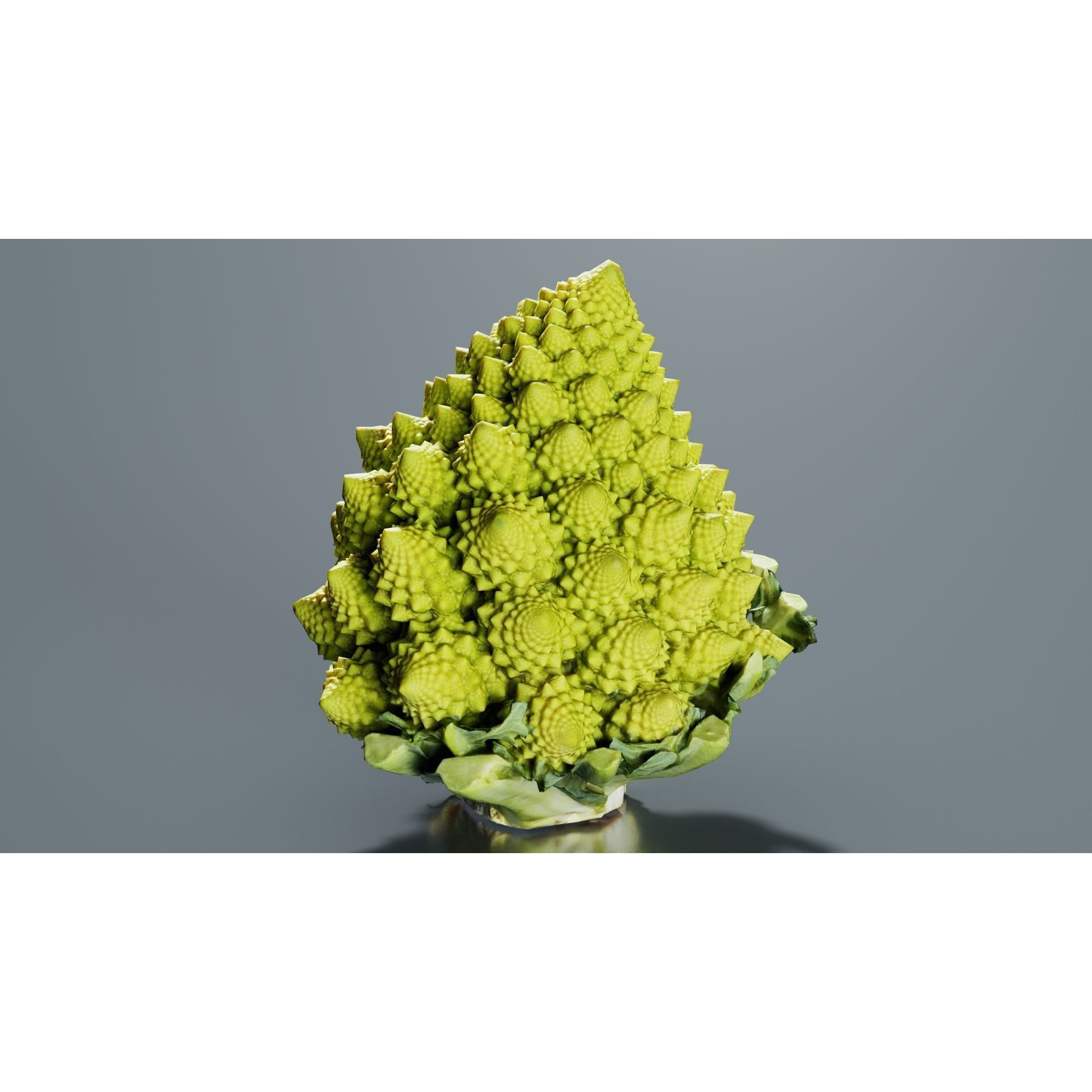 Romanesco - Low-Poly Game-Ready 3D Model - View 5