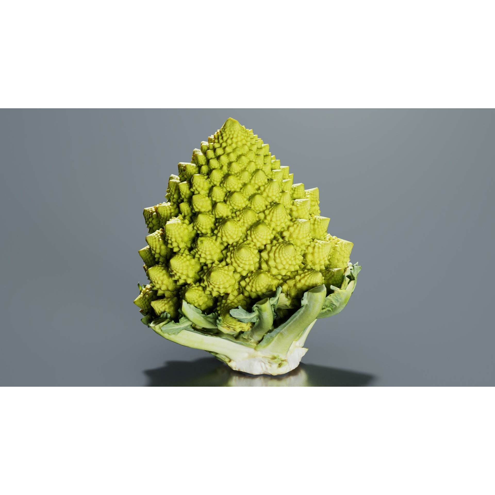 Romanesco - Low-Poly Game-Ready 3D Model - View 6