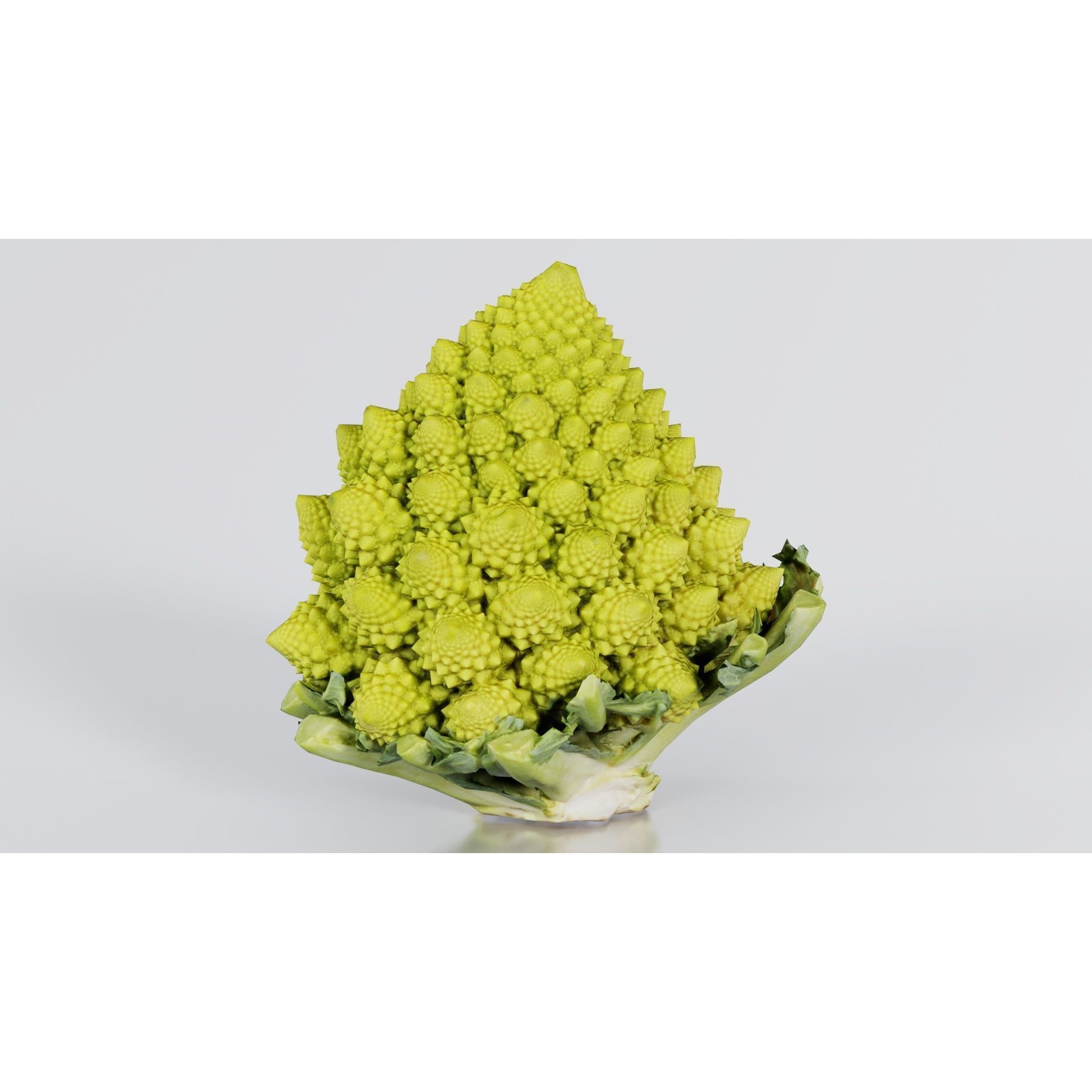 Romanesco - Low-Poly Game-Ready 3D Model - View 7