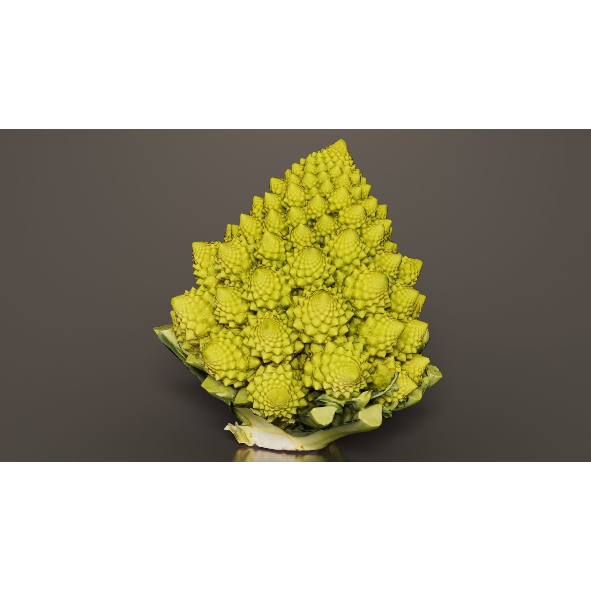 Romanesco - Low-Poly Game-Ready 3D Model - View 8