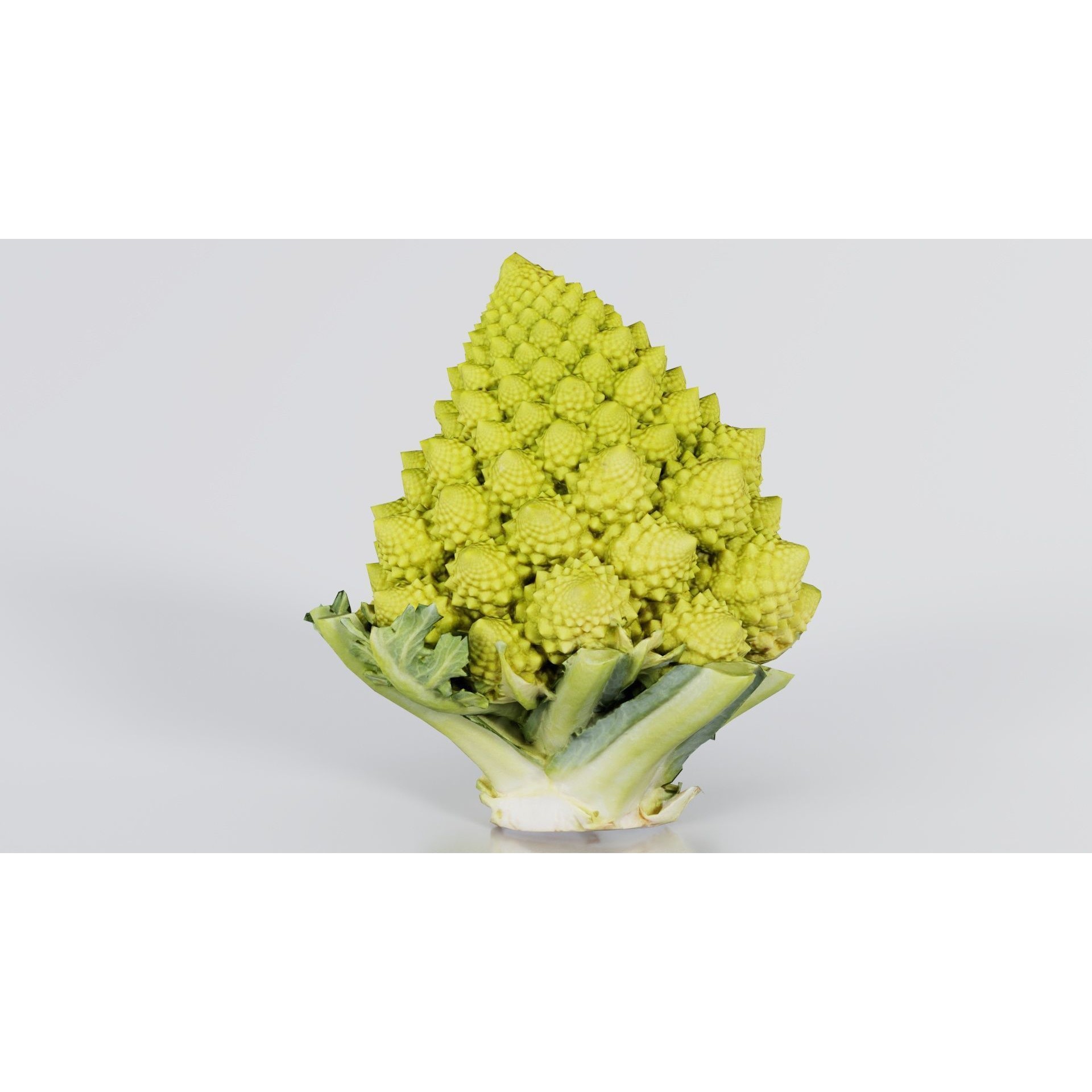 Romanesco - Low-Poly Game-Ready 3D Model - View 9