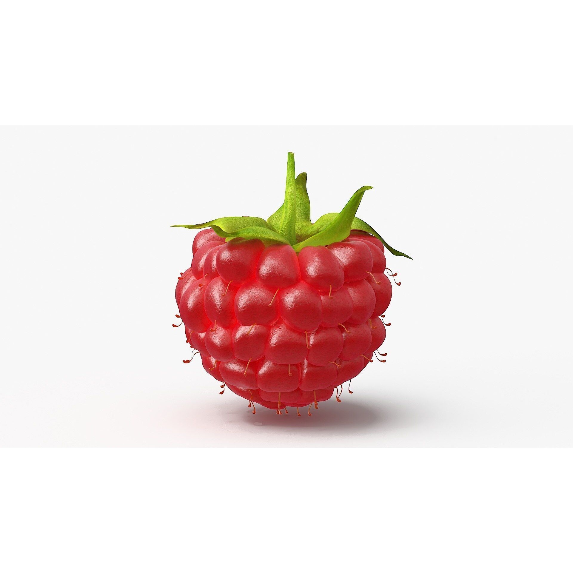 Procedural Raspberry - Low-Poly Game-Ready 3D Model - View 5