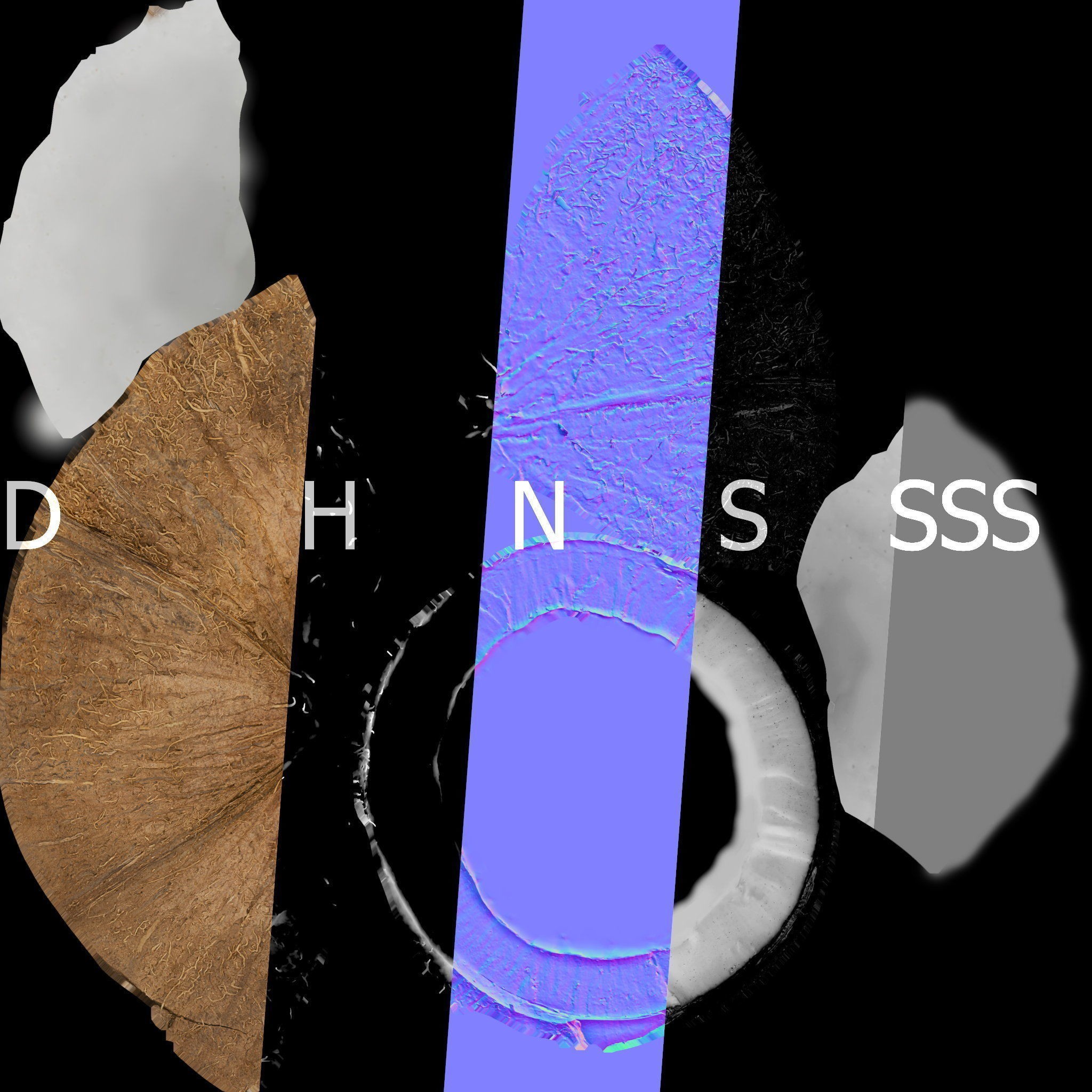 4K Scanned Coconut - PBR Game-Ready 3D Model