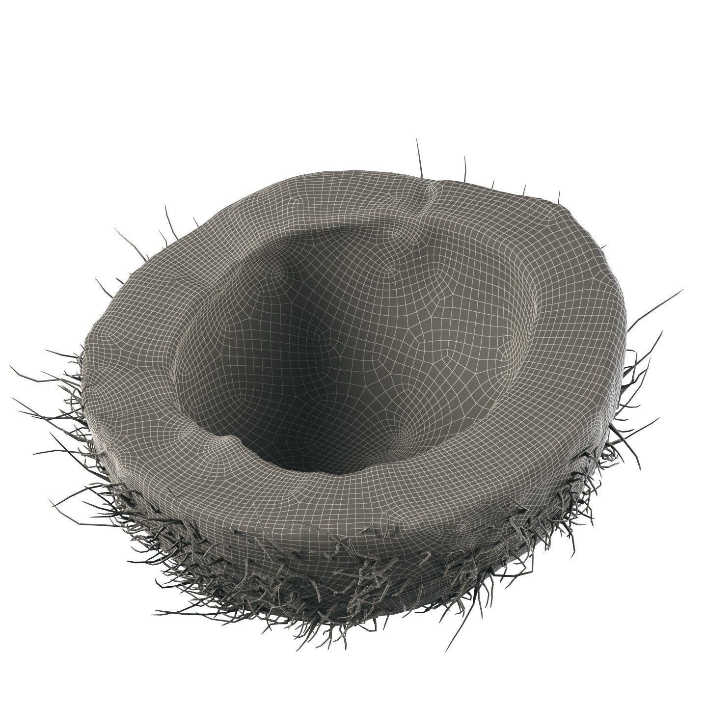 4K Scanned Coconut - PBR Game-Ready 3D Model - View 11