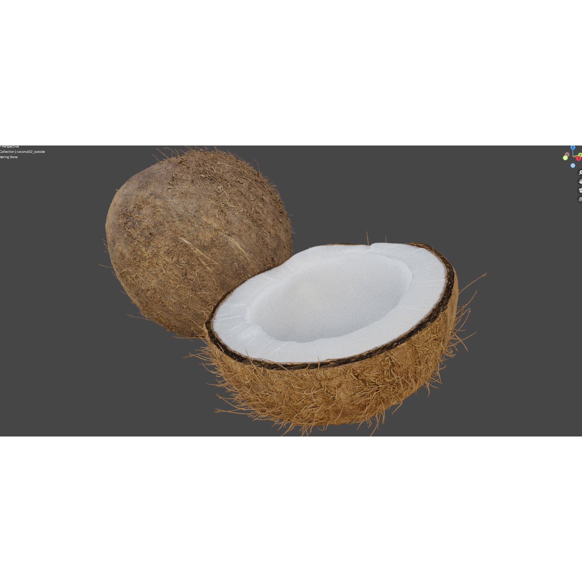 4K Scanned Coconut - PBR Game-Ready 3D Model - View 14