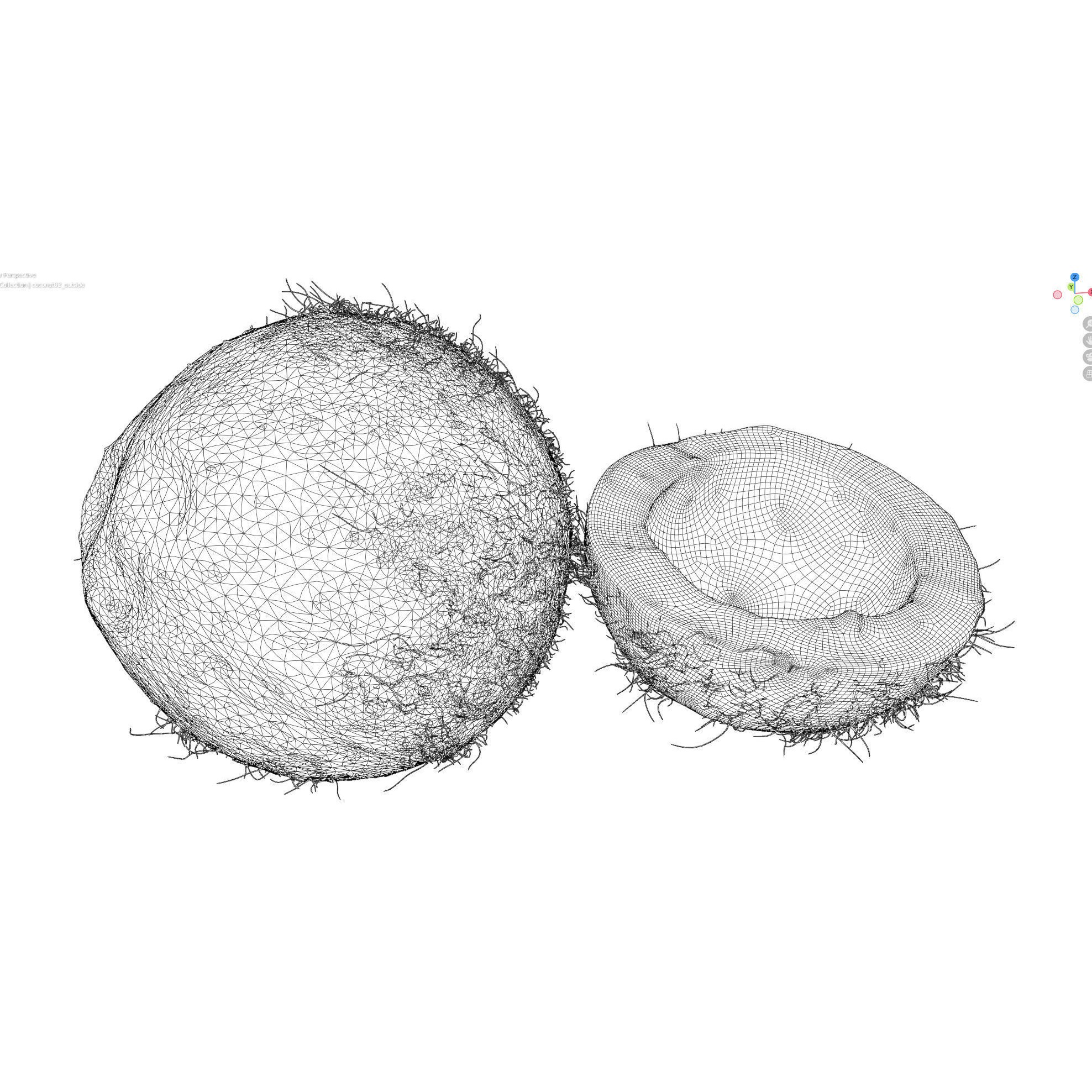 4K Scanned Coconut - PBR Game-Ready 3D Model - View 15