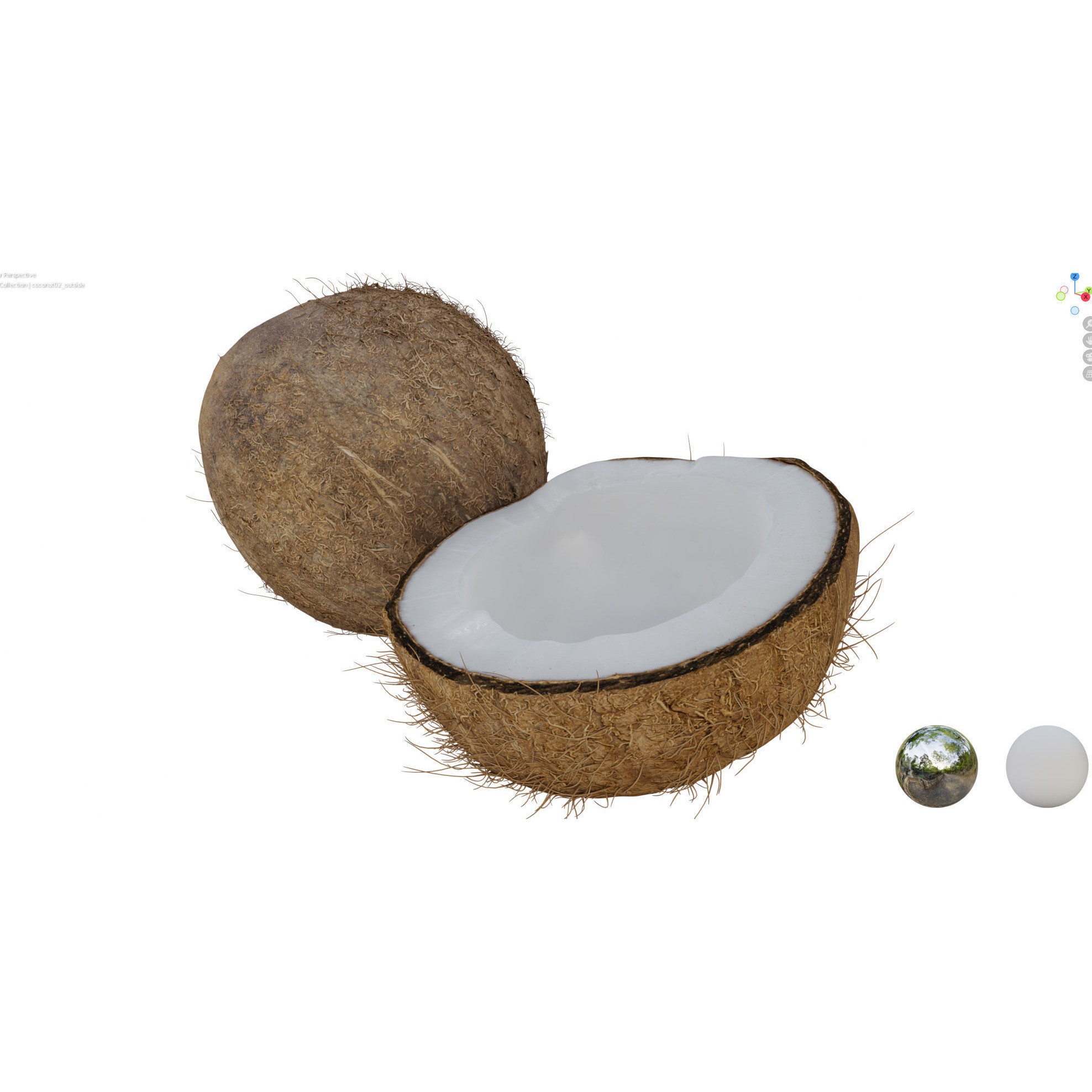 4K Scanned Coconut - PBR Game-Ready 3D Model - View 16