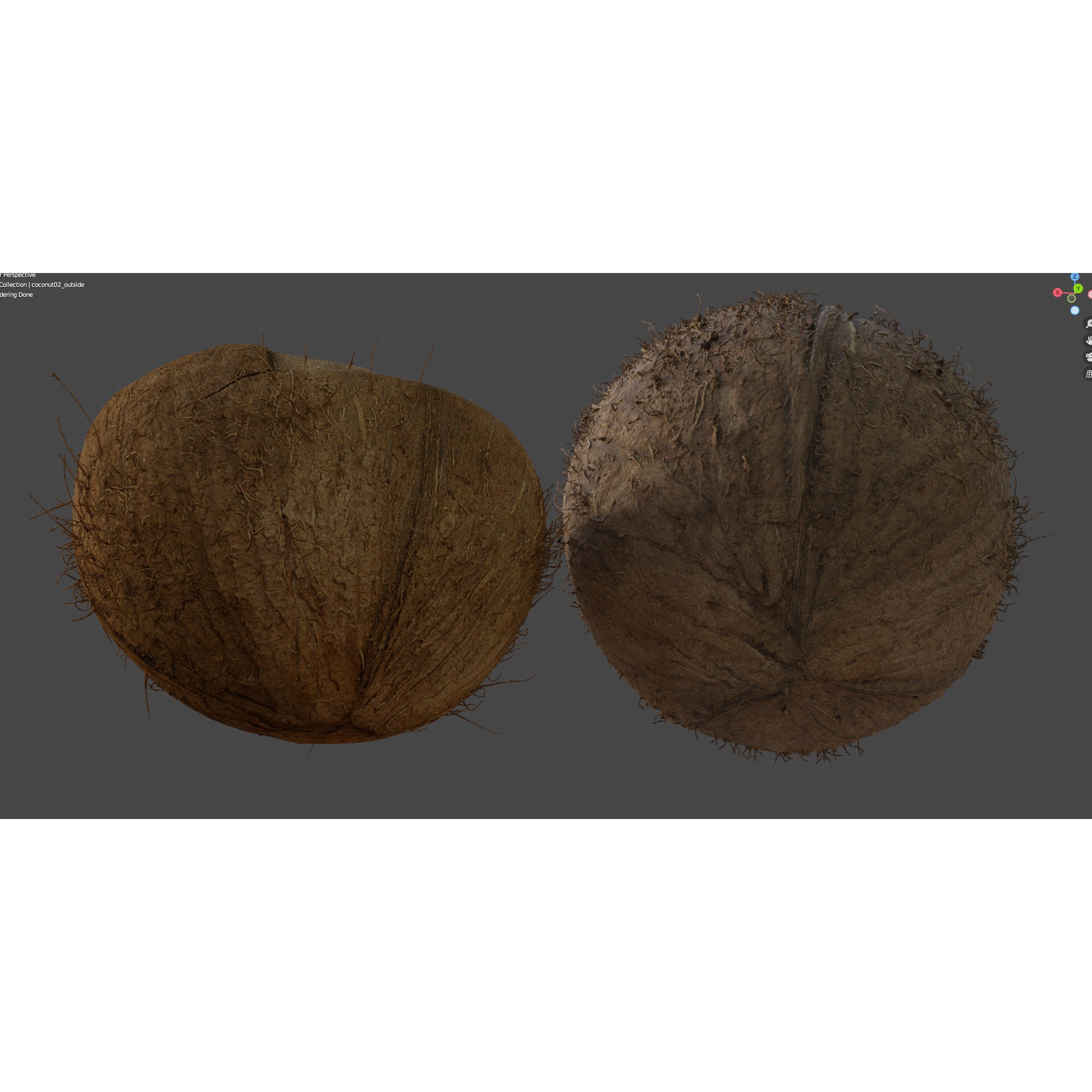 4K Scanned Coconut - PBR Game-Ready 3D Model - View 17