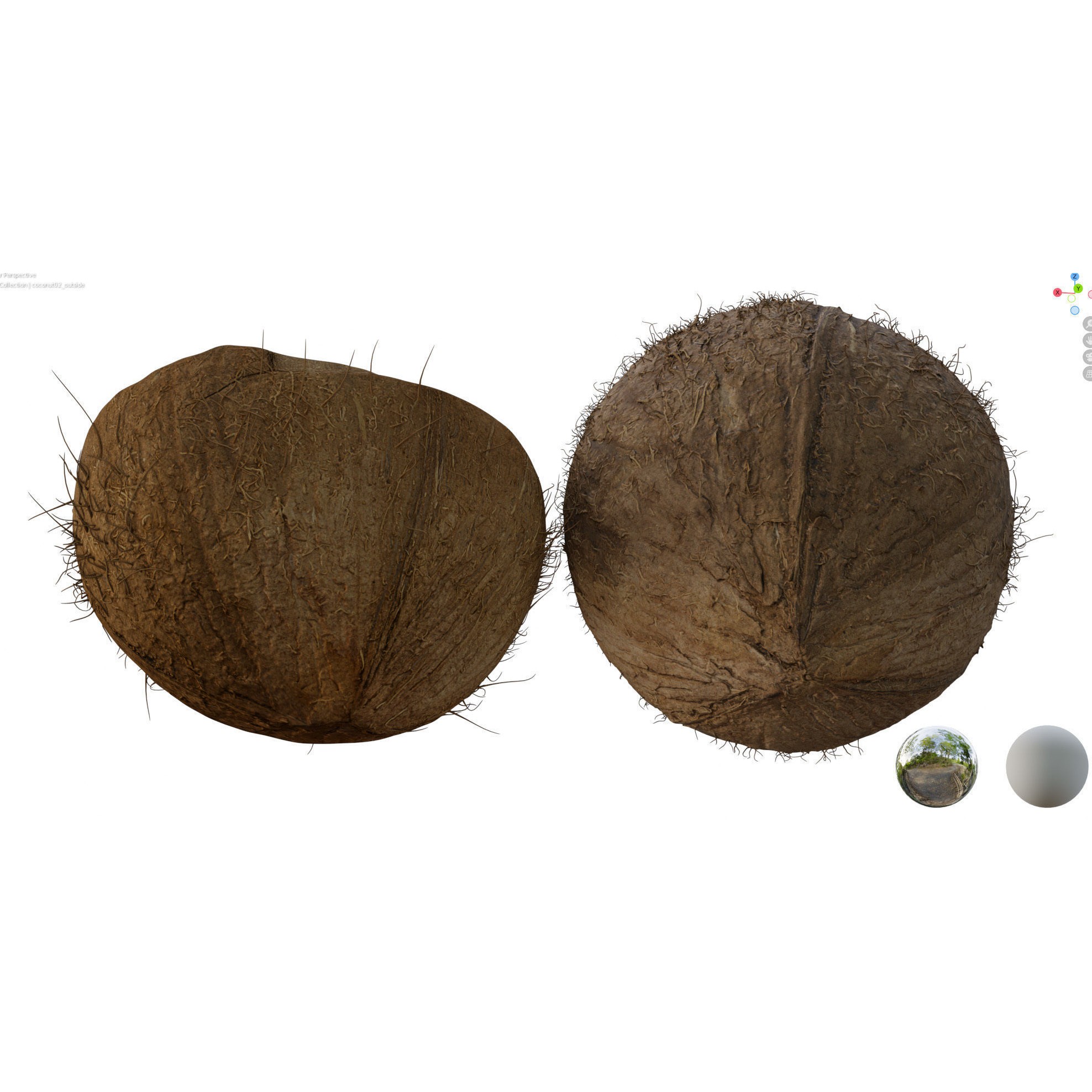 4K Scanned Coconut - PBR Game-Ready 3D Model - View 18