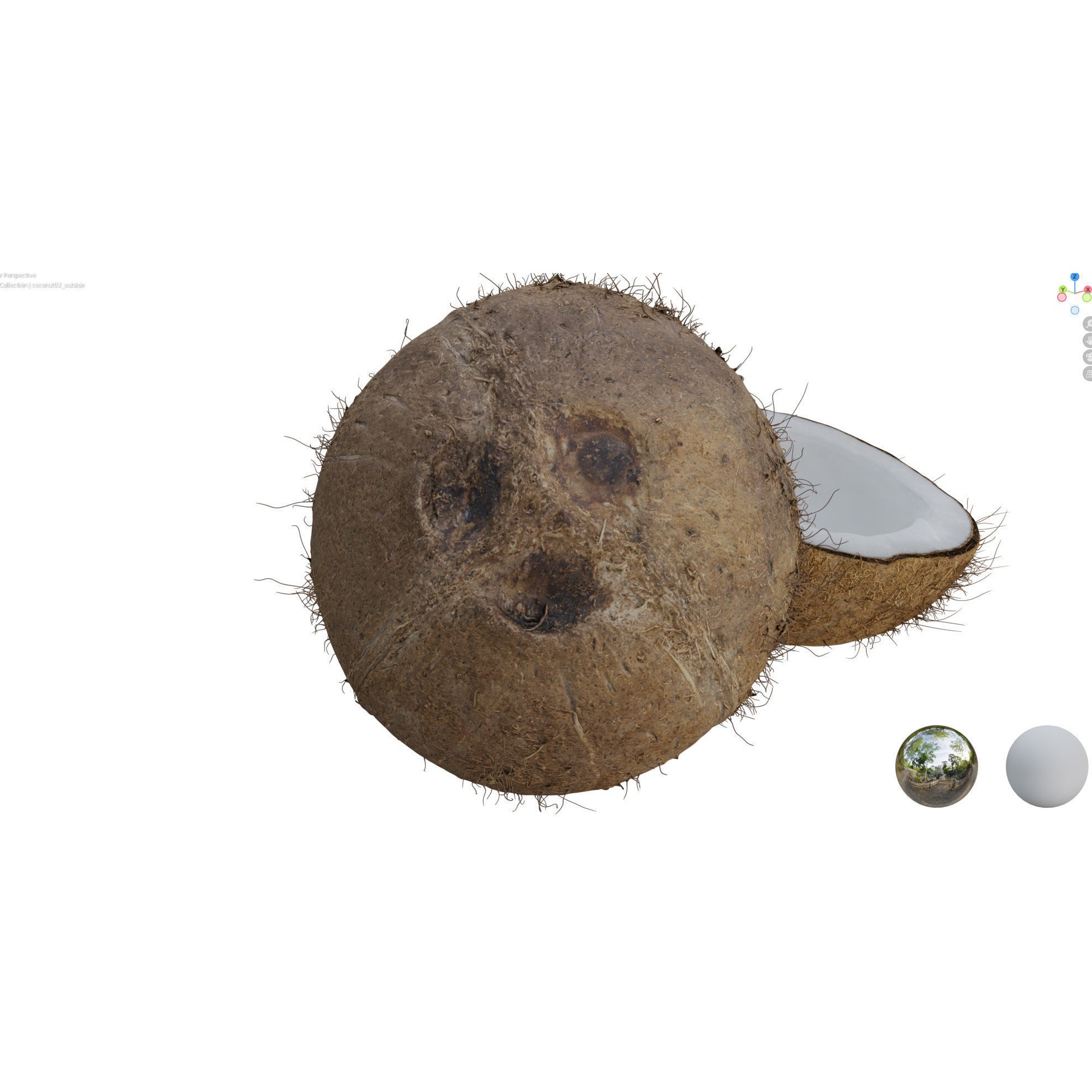 4K Scanned Coconut - PBR Game-Ready 3D Model - View 20