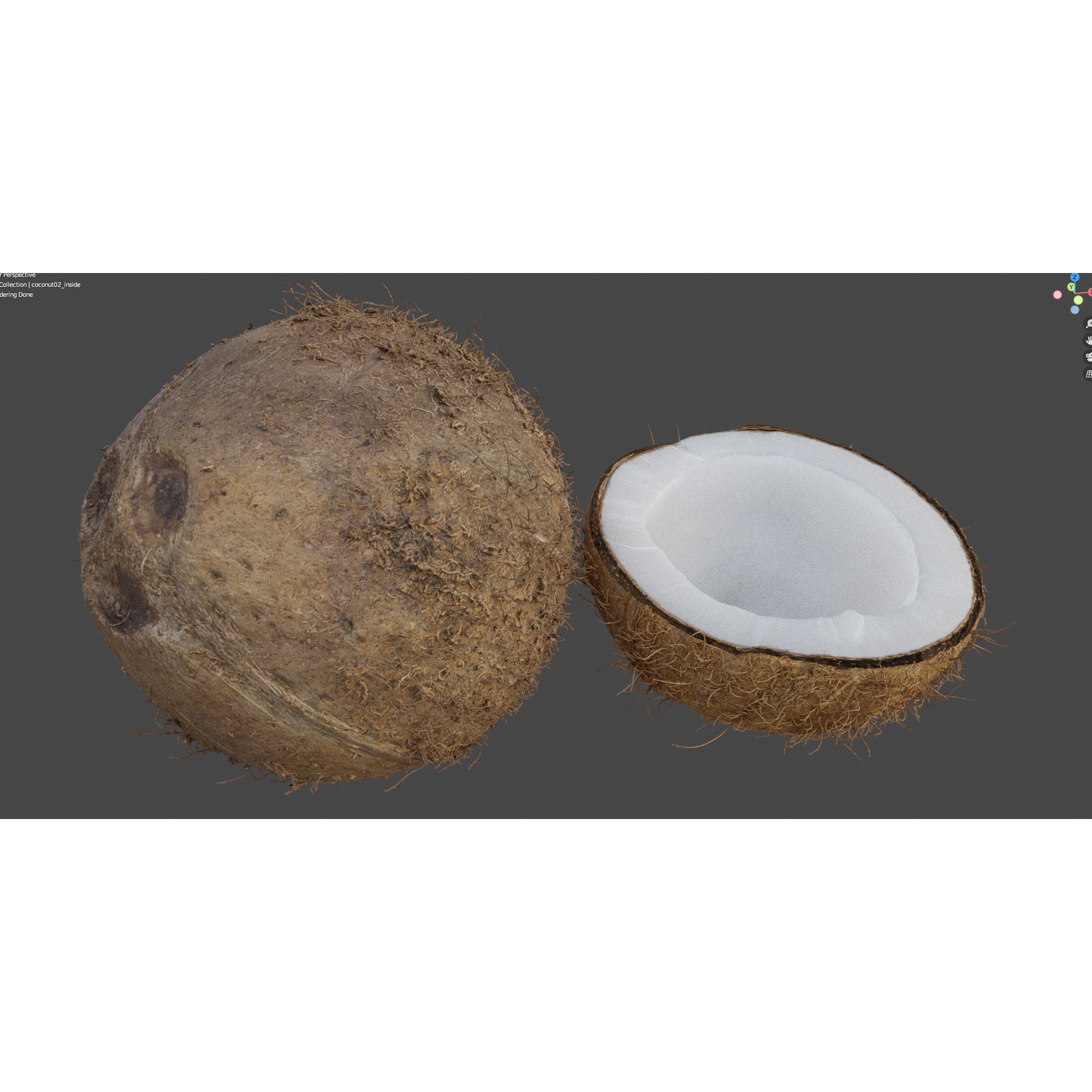 4K Scanned Coconut - PBR Game-Ready 3D Model - View 21