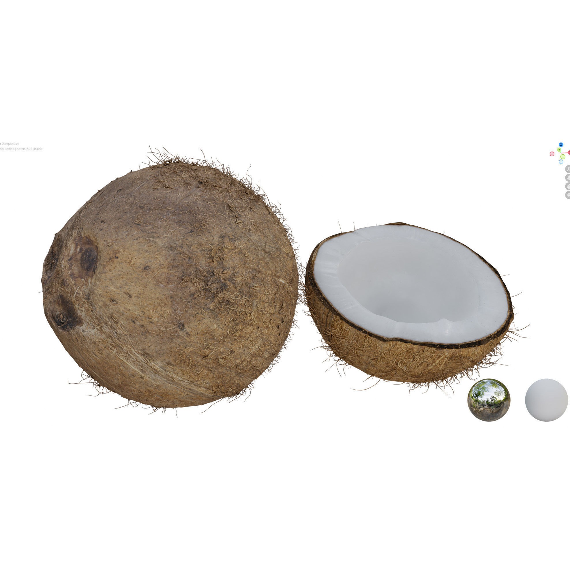 4K Scanned Coconut - PBR Game-Ready 3D Model - View 22