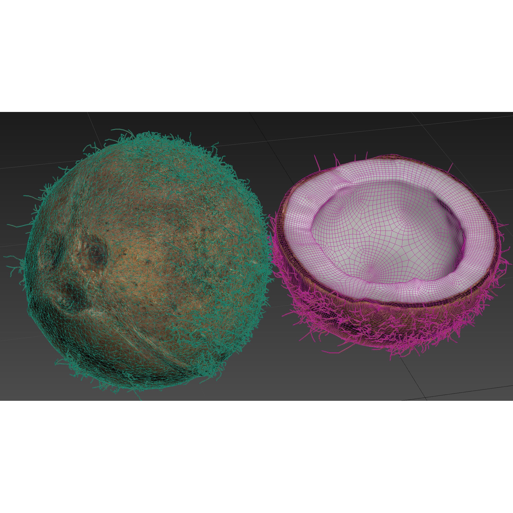 4K Scanned Coconut - PBR Game-Ready 3D Model - View 25