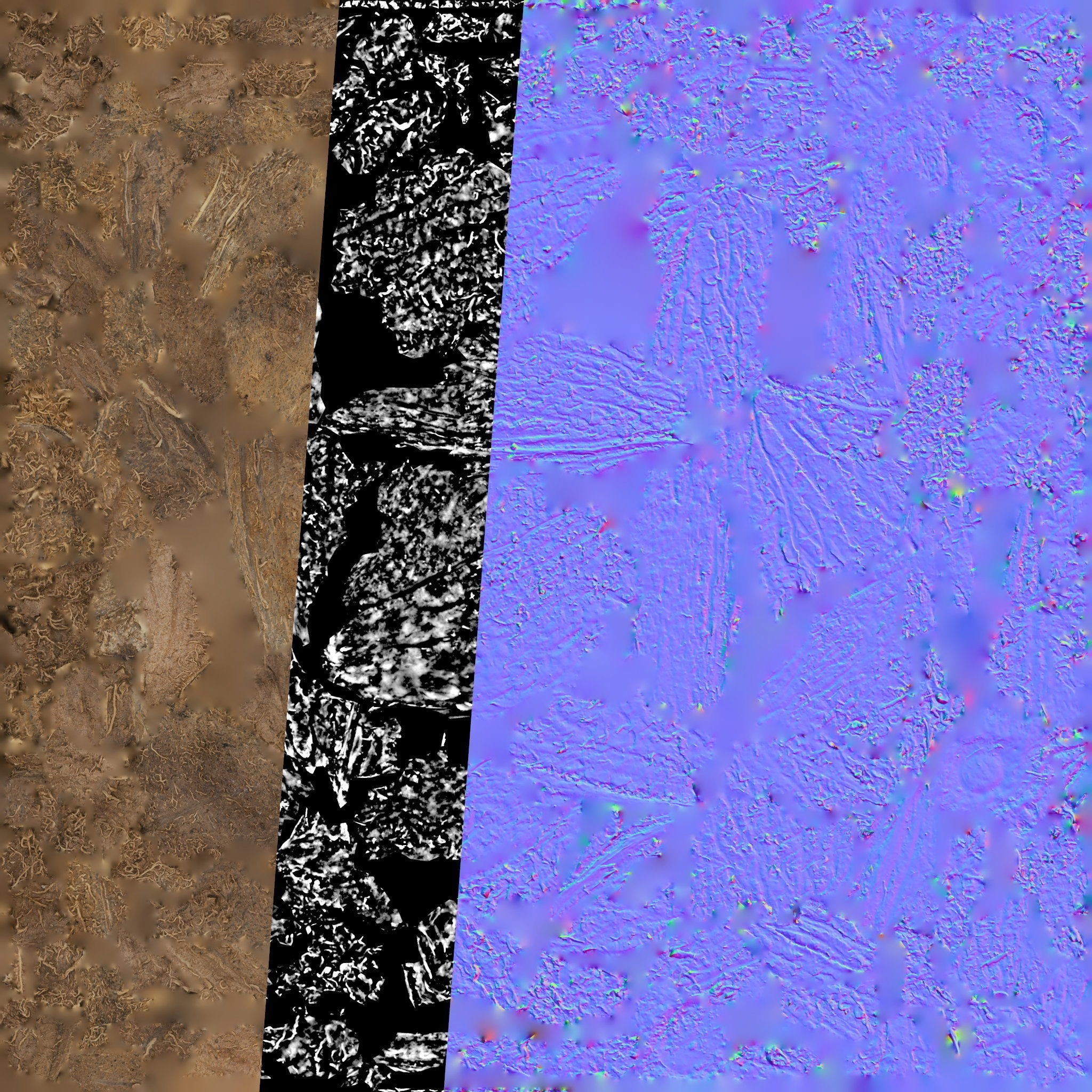 4K Scanned Coconut - PBR Game-Ready 3D Model - View 27