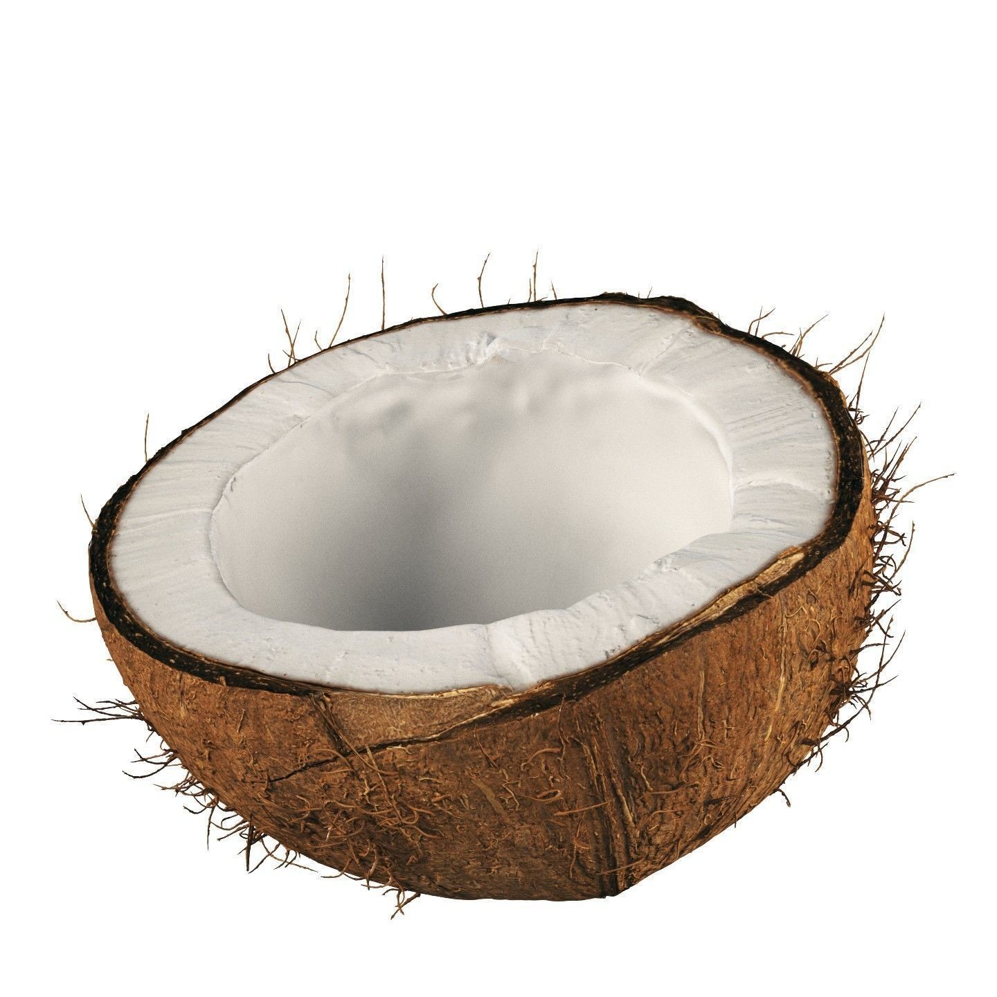 4K Scanned Coconut - PBR Game-Ready 3D Model - View 5