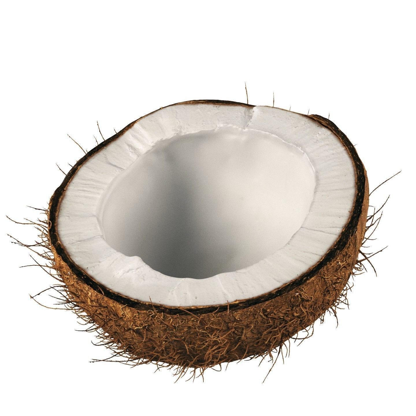 4K Scanned Coconut - PBR Game-Ready 3D Model - View 6