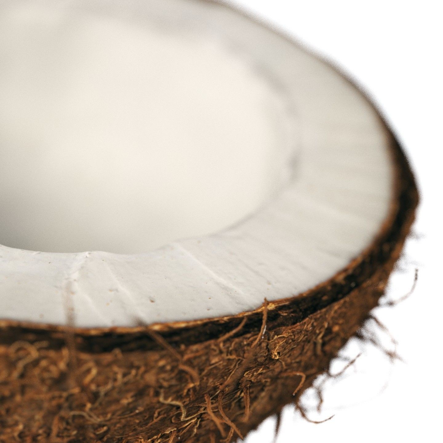 4K Scanned Coconut - PBR Game-Ready 3D Model - View 9
