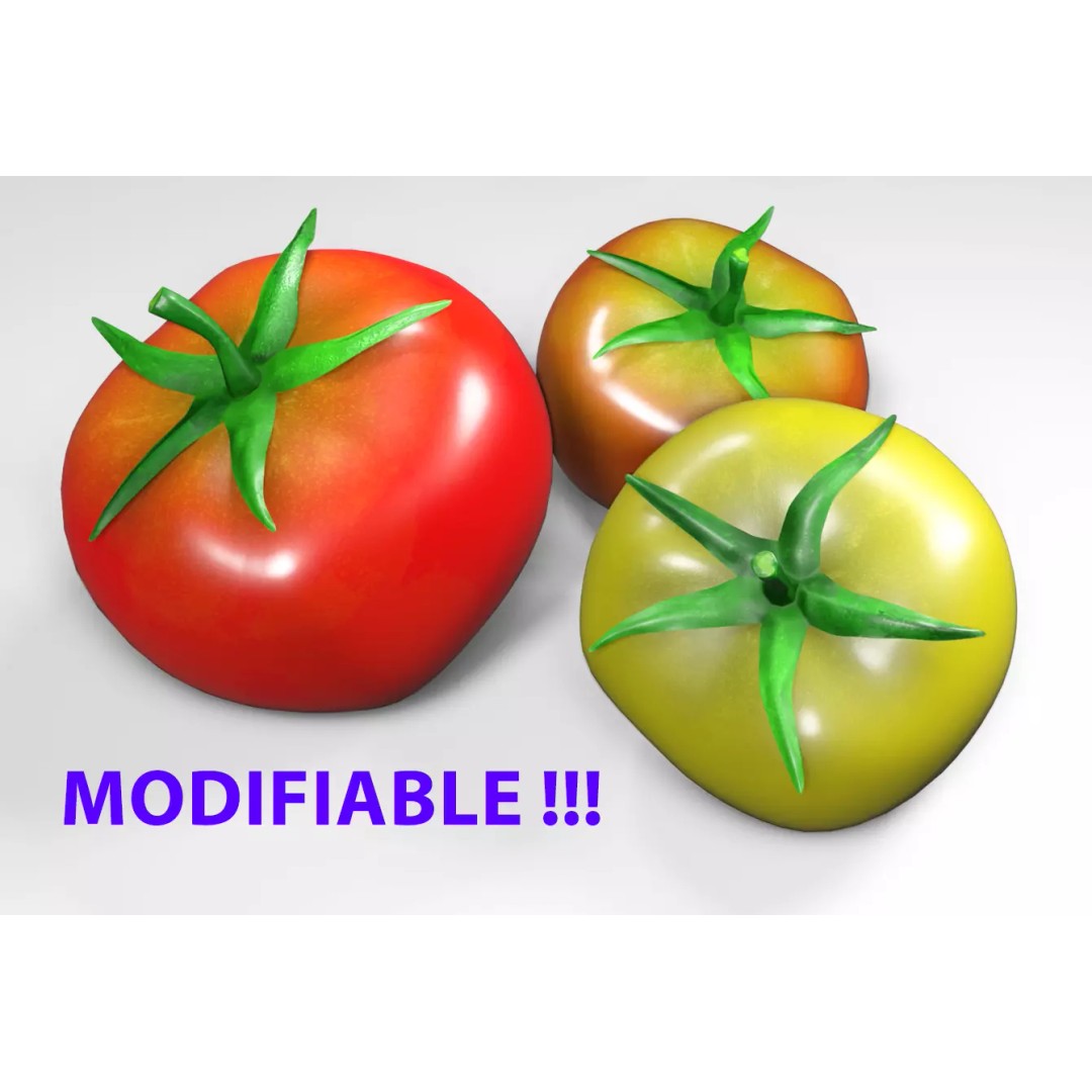 Tomato 3D Model – Low Poly PBR Asset for Games and Rendering - View 2