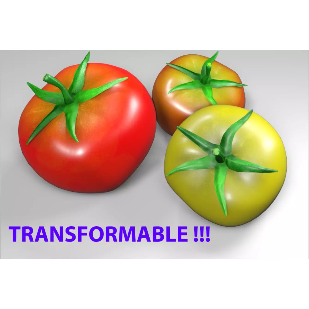 Tomato 3D Model – Low Poly PBR Asset for Games and Rendering - View 3