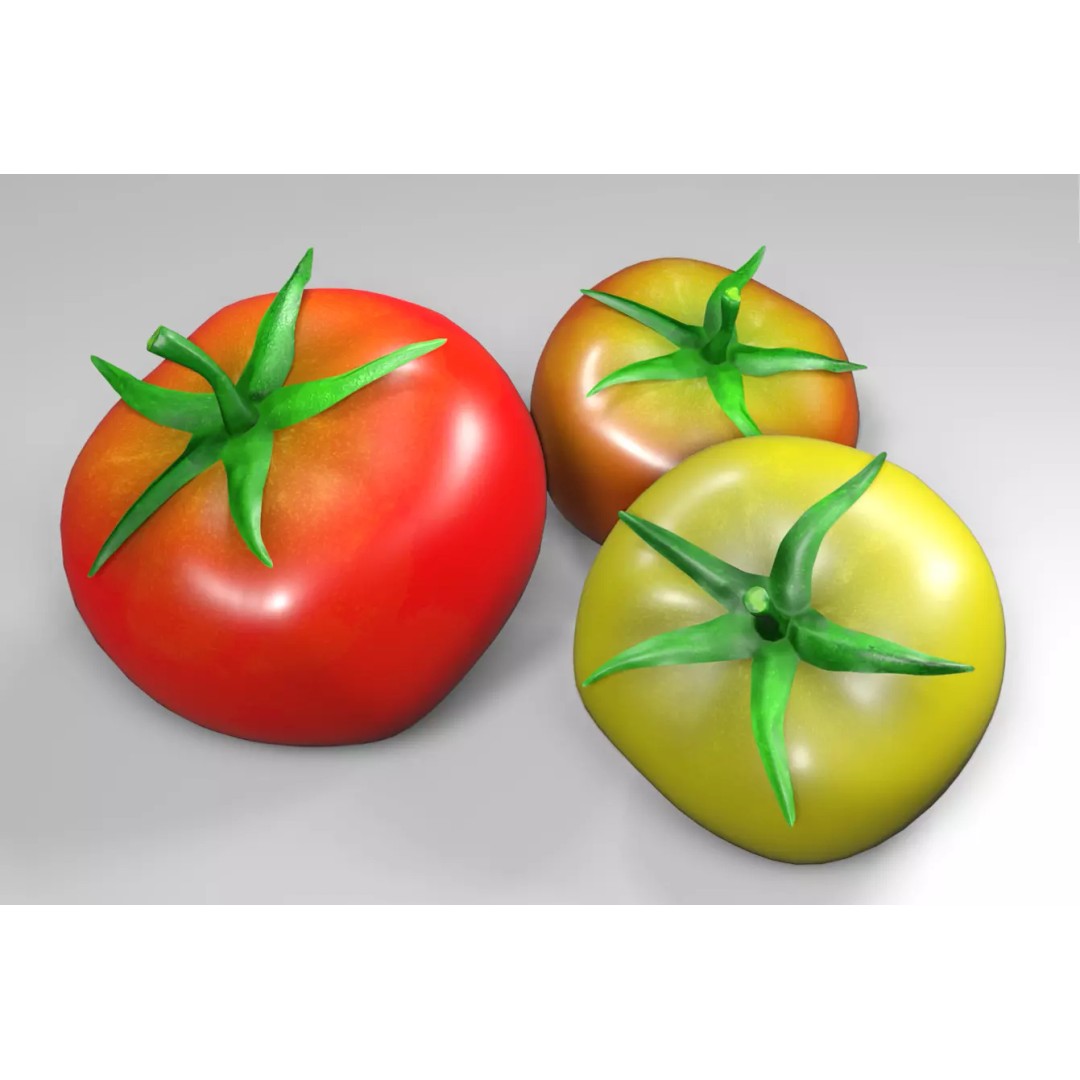 Tomato 3D Model – Low Poly PBR Asset for Games and Rendering - View 4
