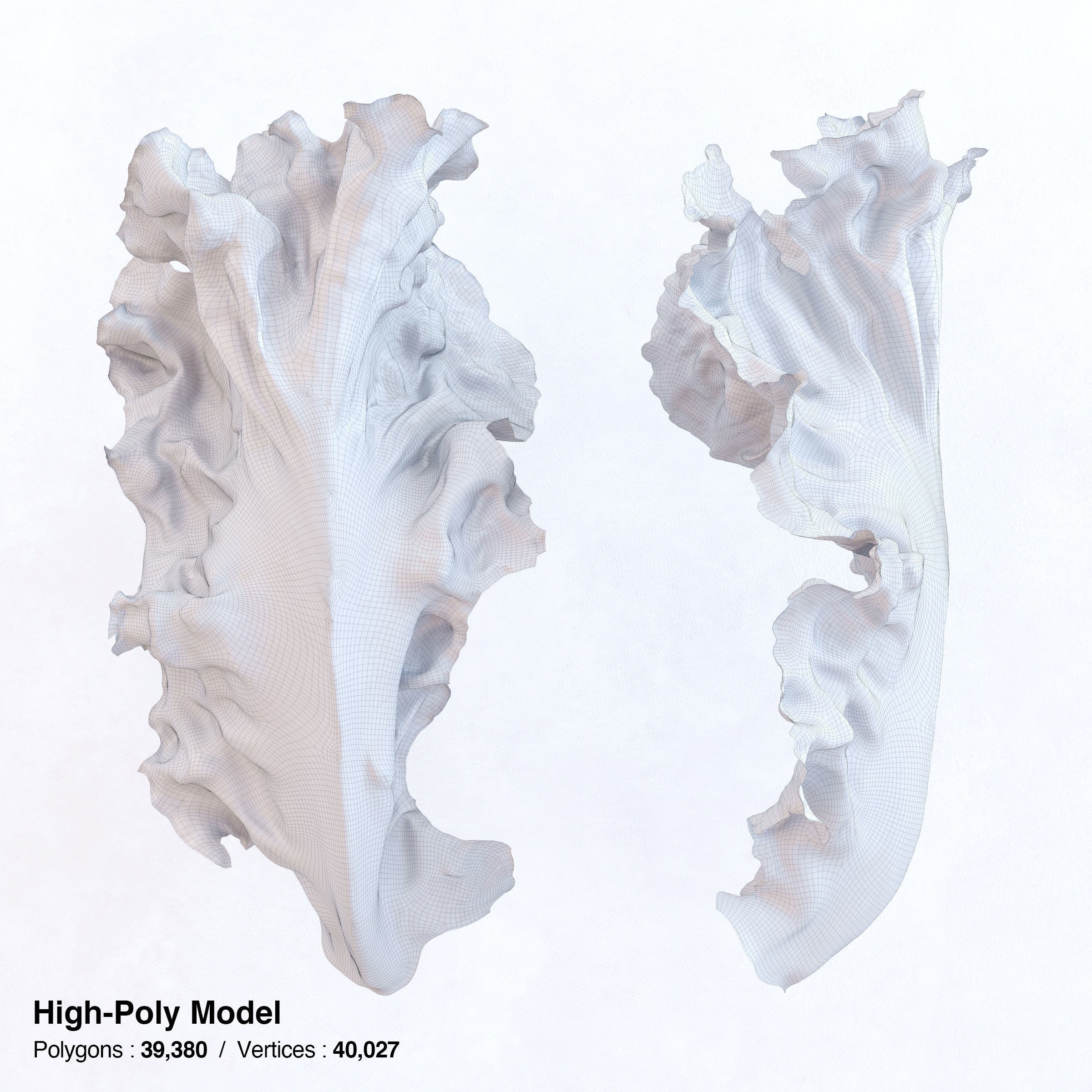 Red Leaf Lettuce - Low-Poly Game-Ready 3D Model - View 10