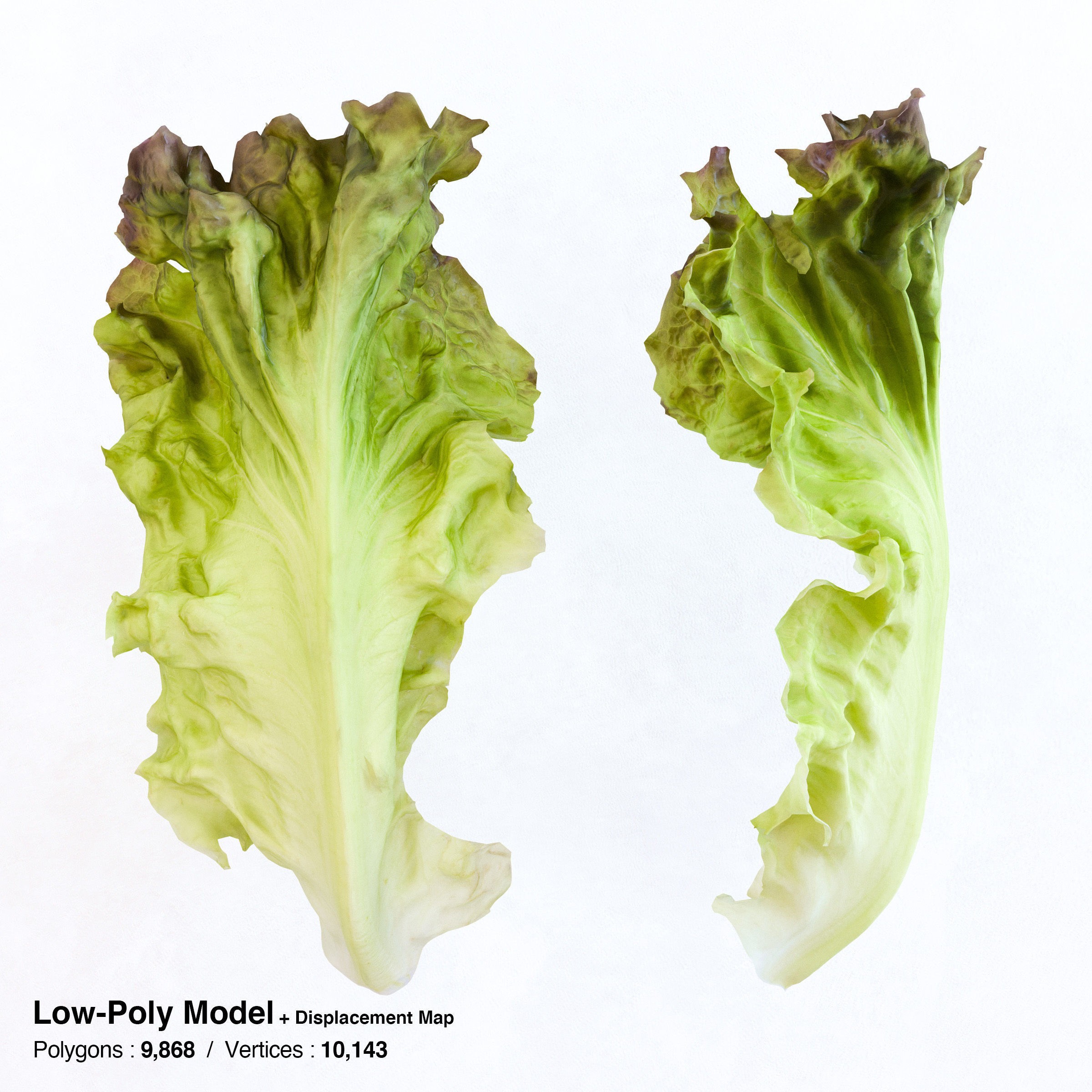 Red Leaf Lettuce - Low-Poly Game-Ready 3D Model - View 3