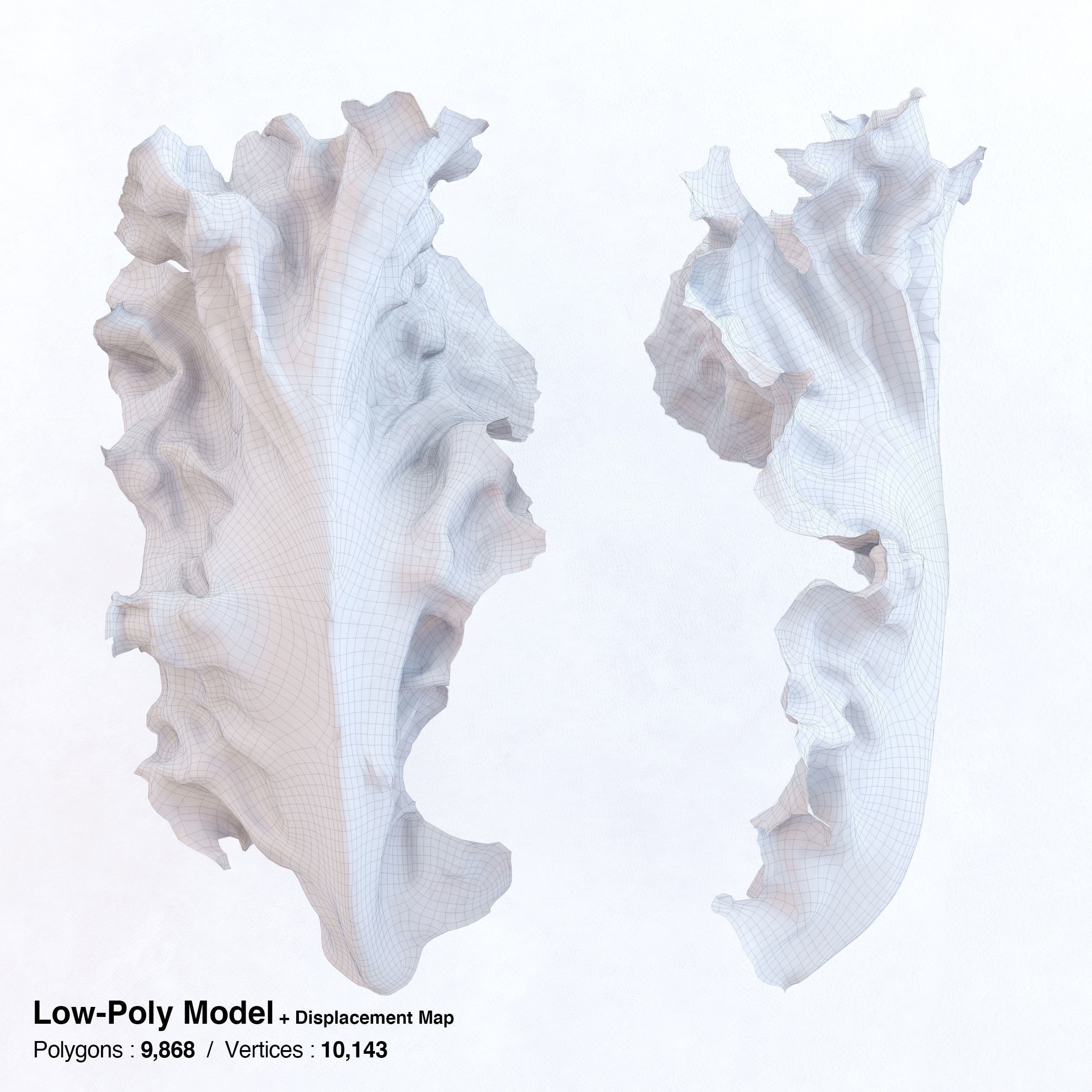 Red Leaf Lettuce - Low-Poly Game-Ready 3D Model - View 4