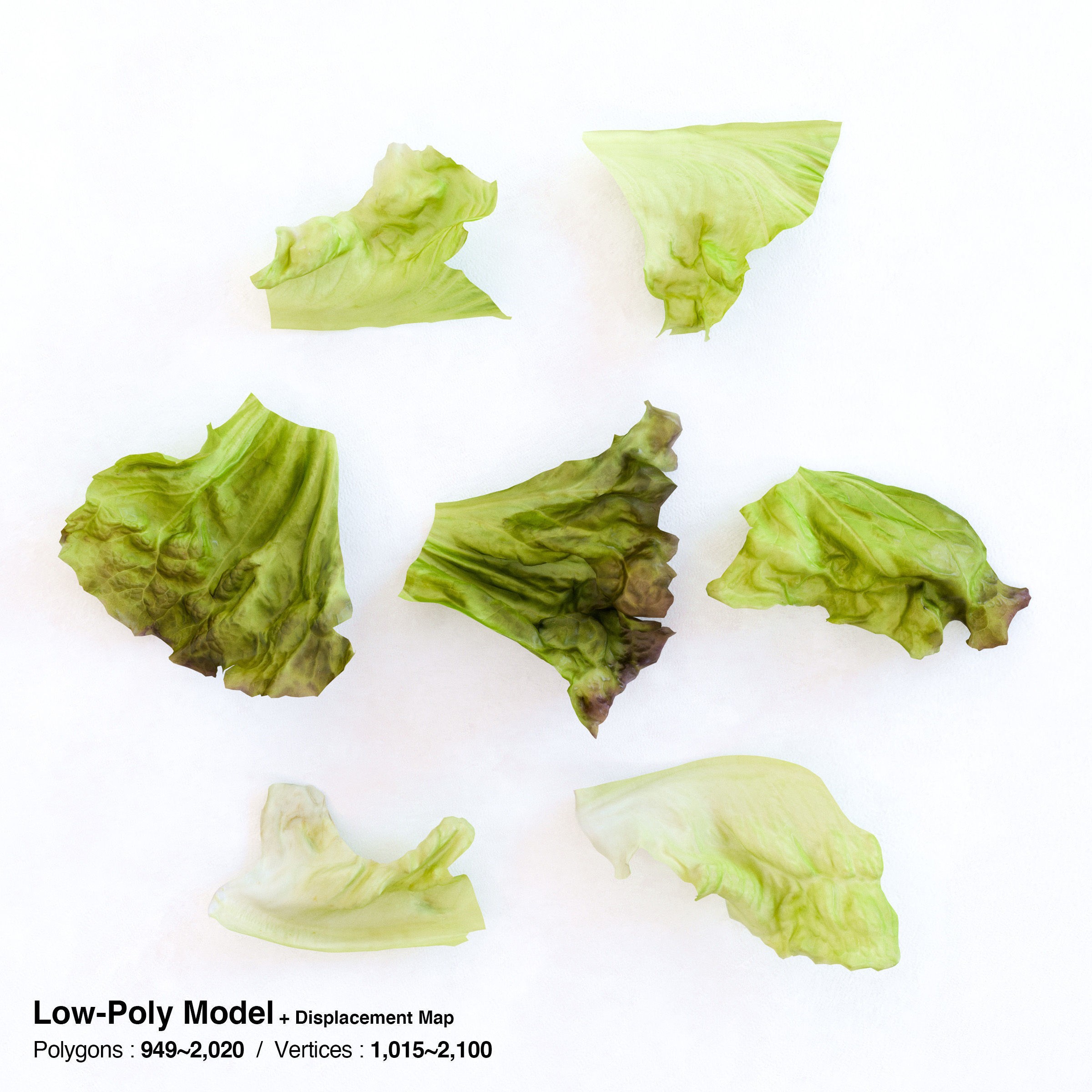 Red Leaf Lettuce - Low-Poly Game-Ready 3D Model - View 6