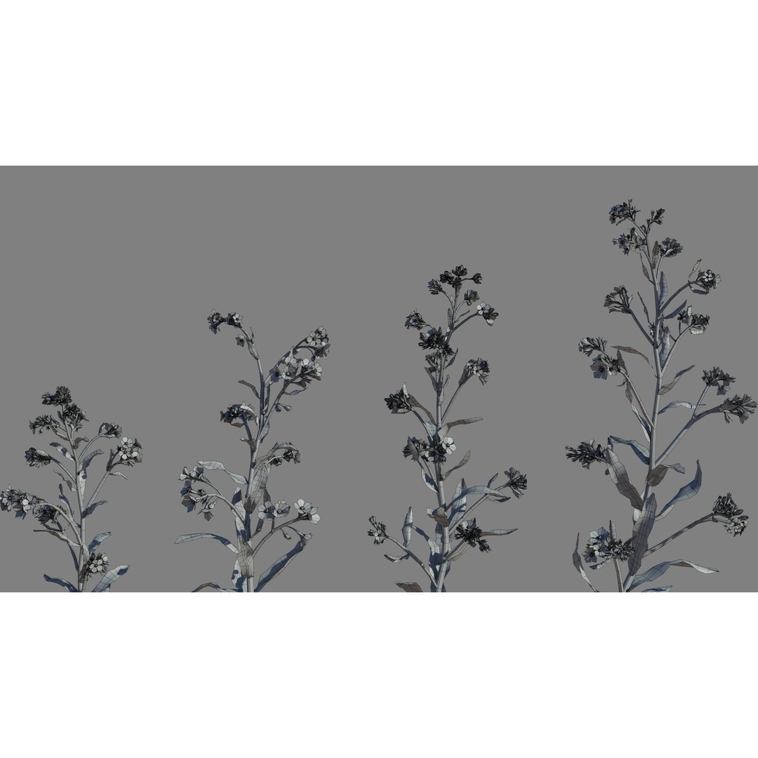 Large Blue Alkanet 3D Model – Low Poly PBR Asset, FBX, OBJ - View 9