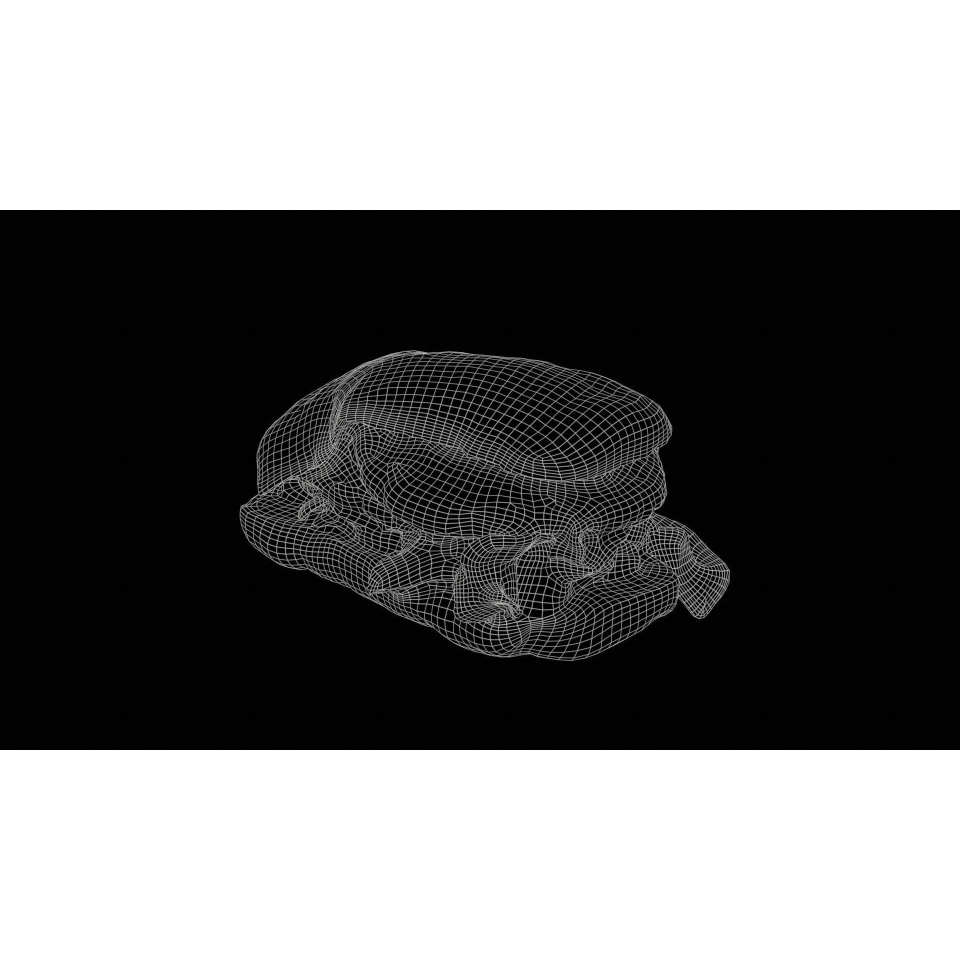 Healthy Salad Burger - Low-Poly Game-Ready 3D Model - View 13