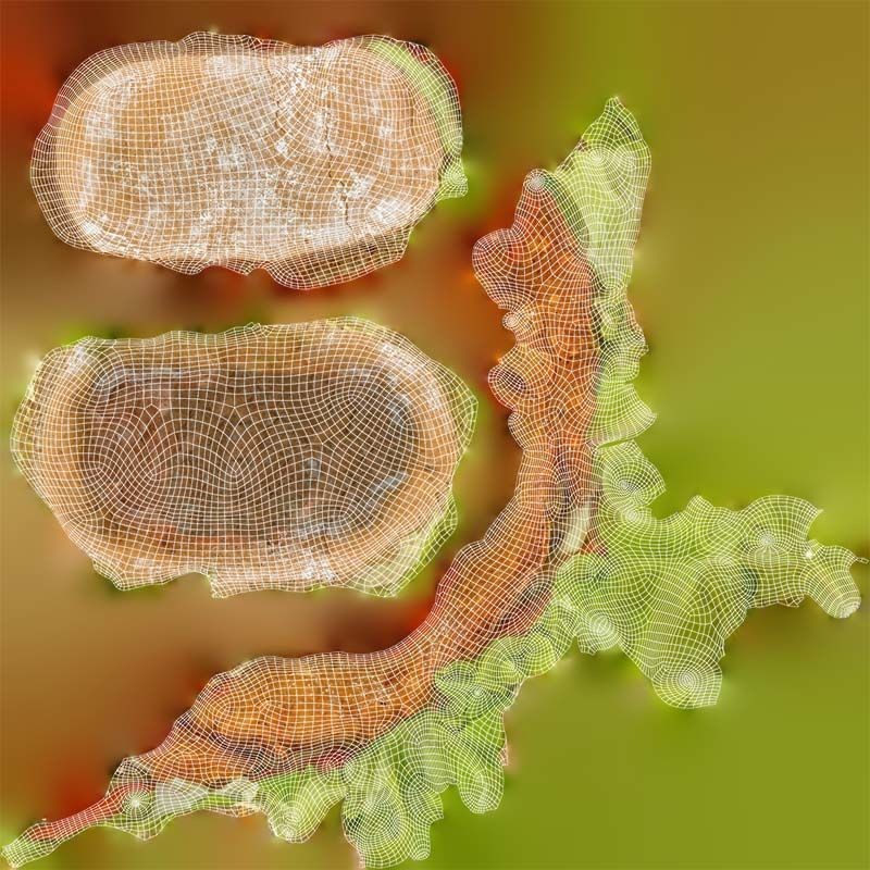 Healthy Salad Burger - Low-Poly Game-Ready 3D Model - View 16