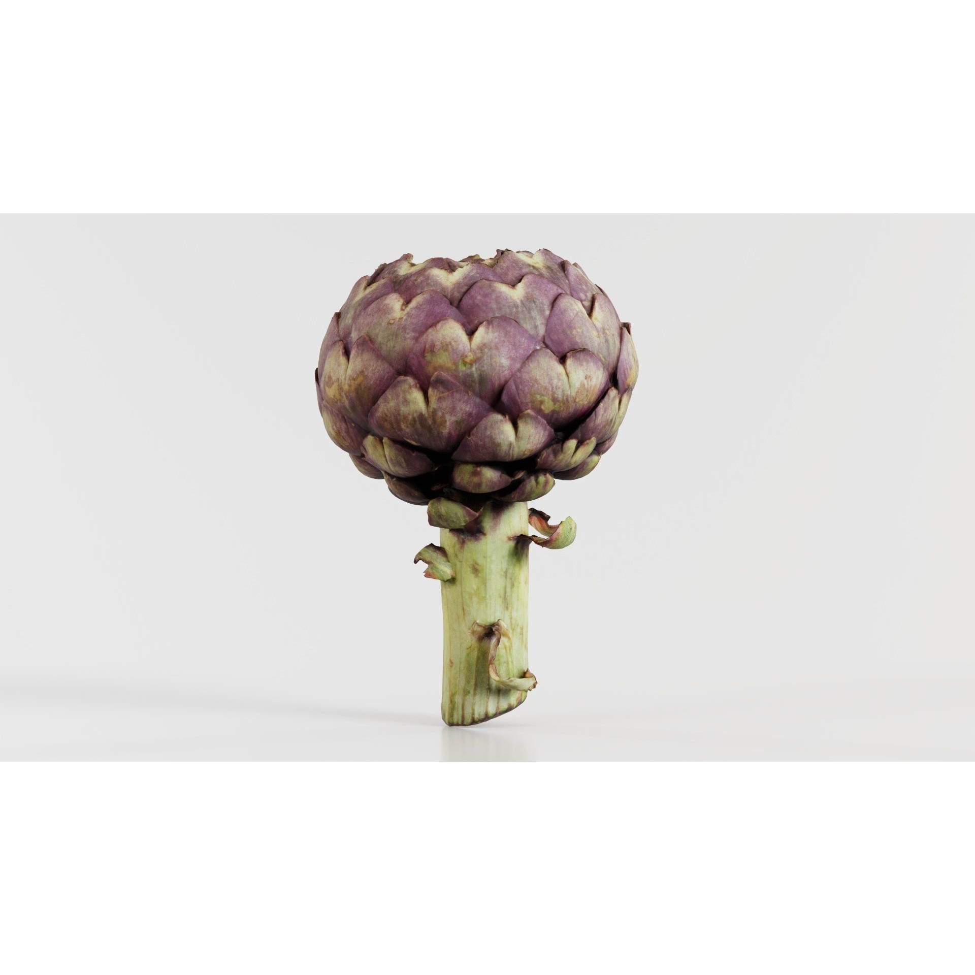 Artichokes - Low-Poly Game-Ready 3D Model - View 10