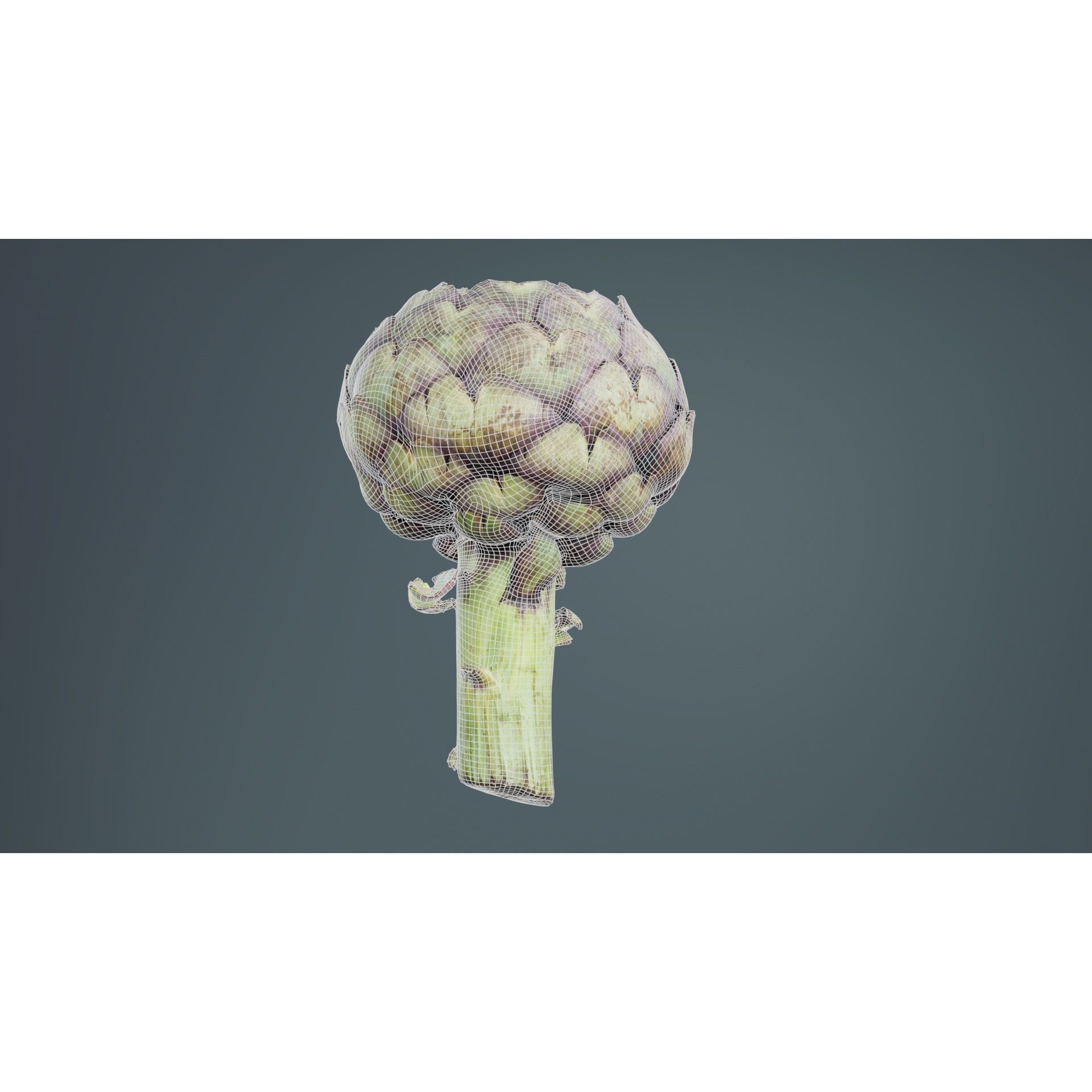 Artichokes - Low-Poly Game-Ready 3D Model - View 12