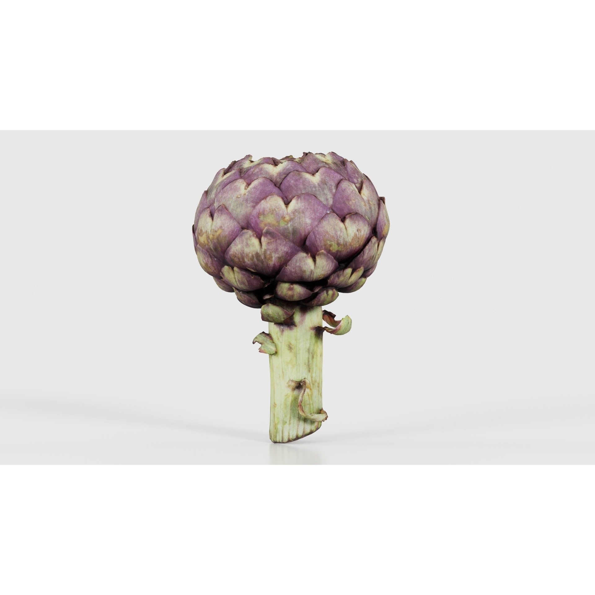Artichokes - Low-Poly Game-Ready 3D Model - View 17