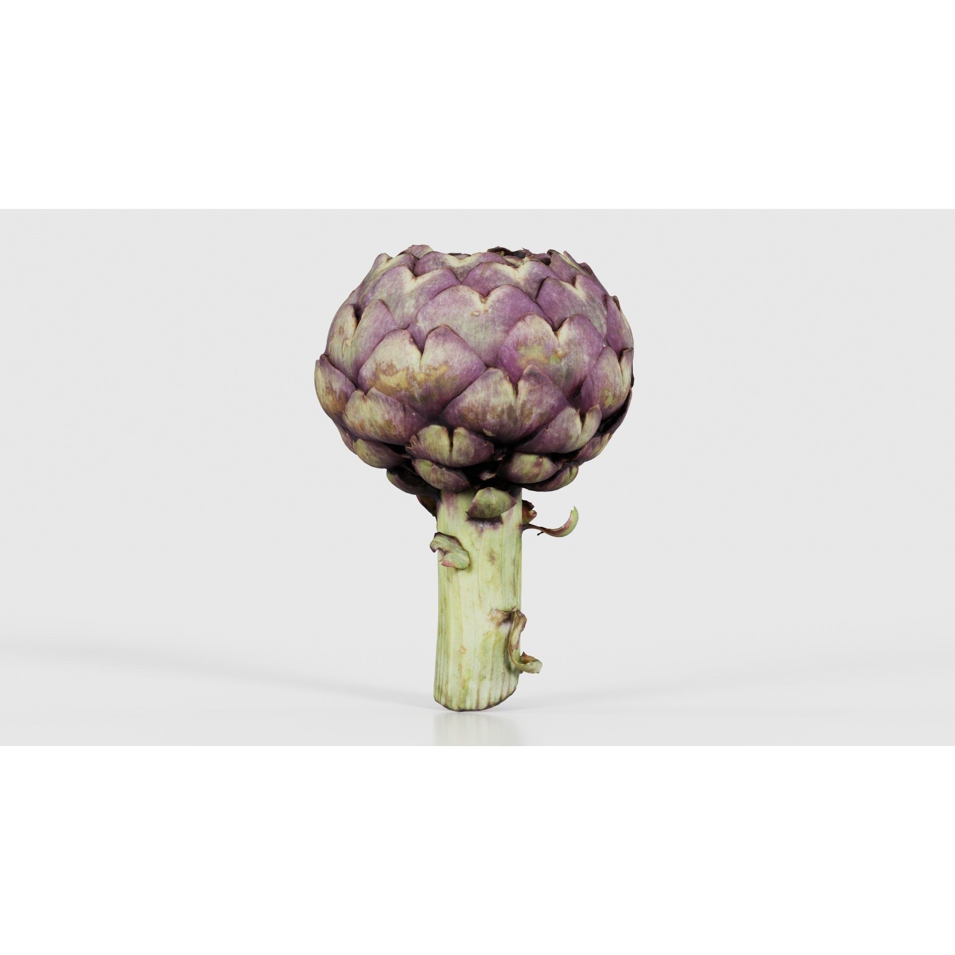 Artichokes - Low-Poly Game-Ready 3D Model - View 18