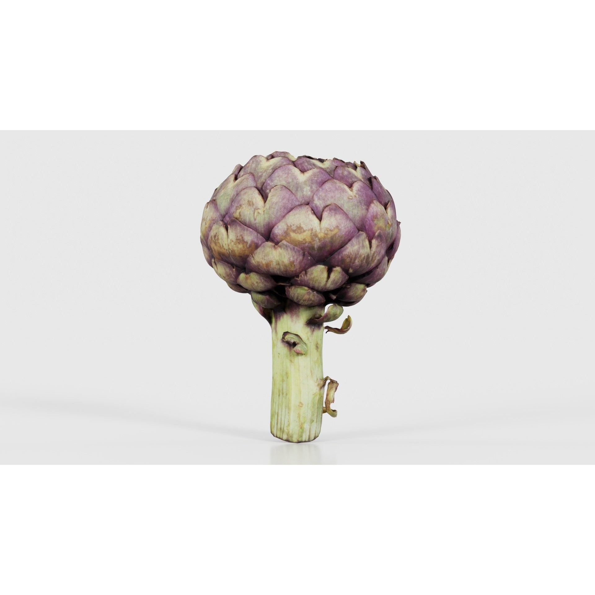 Artichokes - Low-Poly Game-Ready 3D Model - View 19