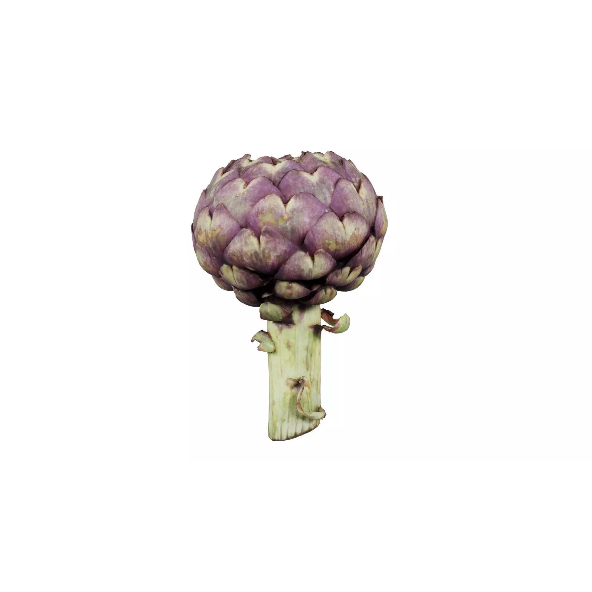 Artichokes - Low-Poly Game-Ready 3D Model - View 2