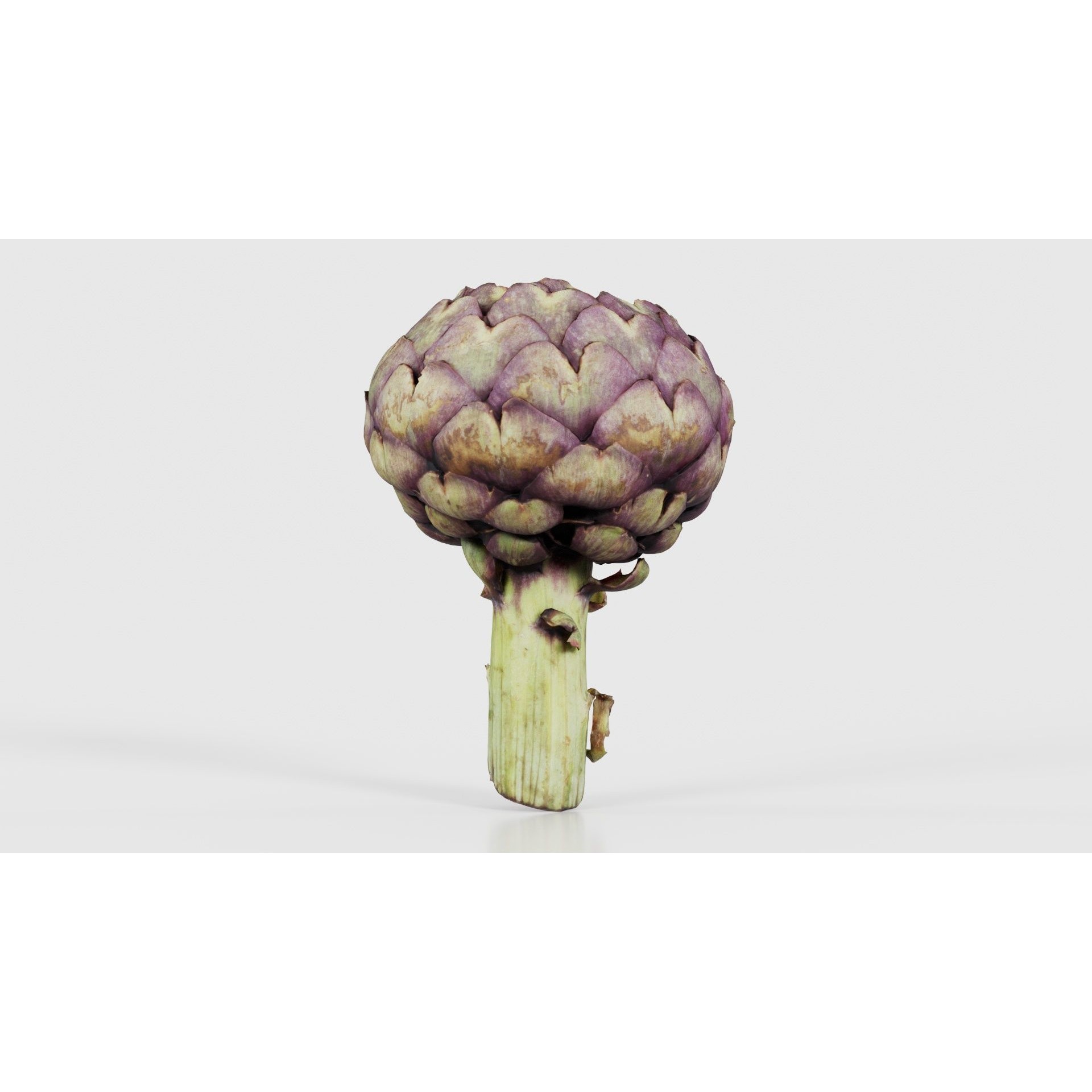 Artichokes - Low-Poly Game-Ready 3D Model - View 20