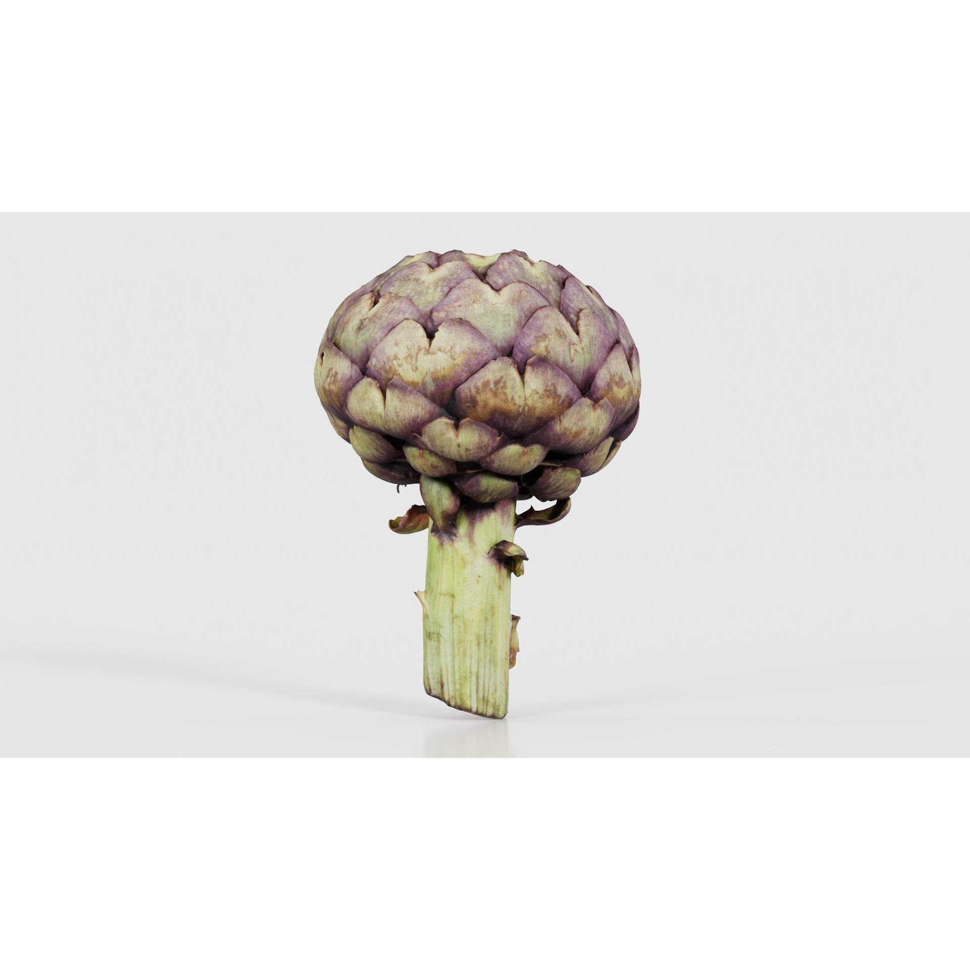 Artichokes - Low-Poly Game-Ready 3D Model - View 21