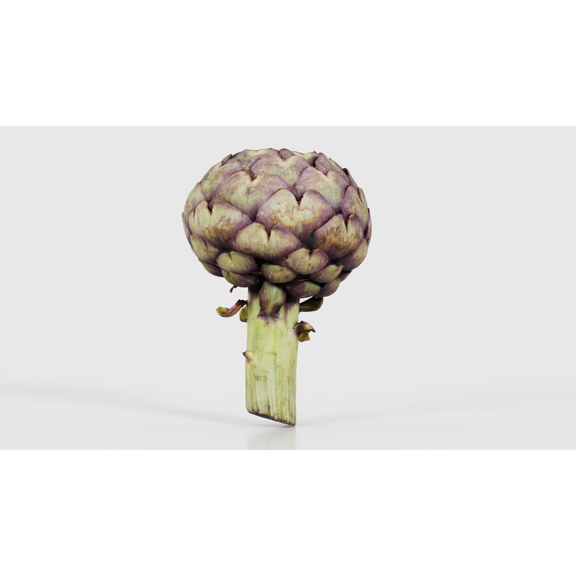 Artichokes - Low-Poly Game-Ready 3D Model - View 22