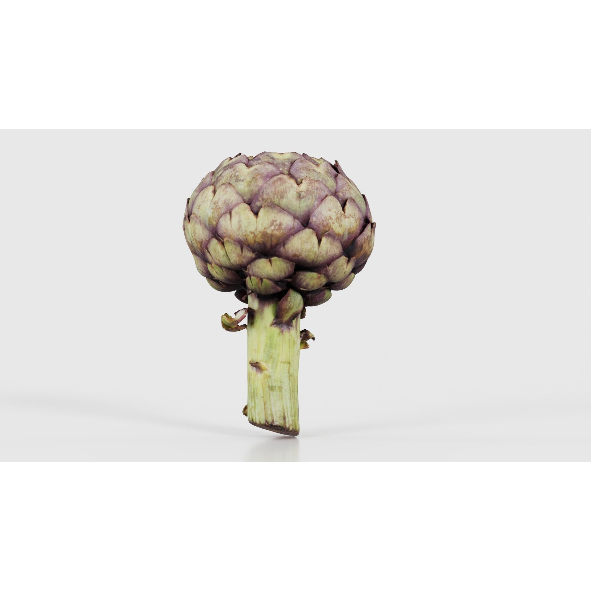 Artichokes - Low-Poly Game-Ready 3D Model - View 23